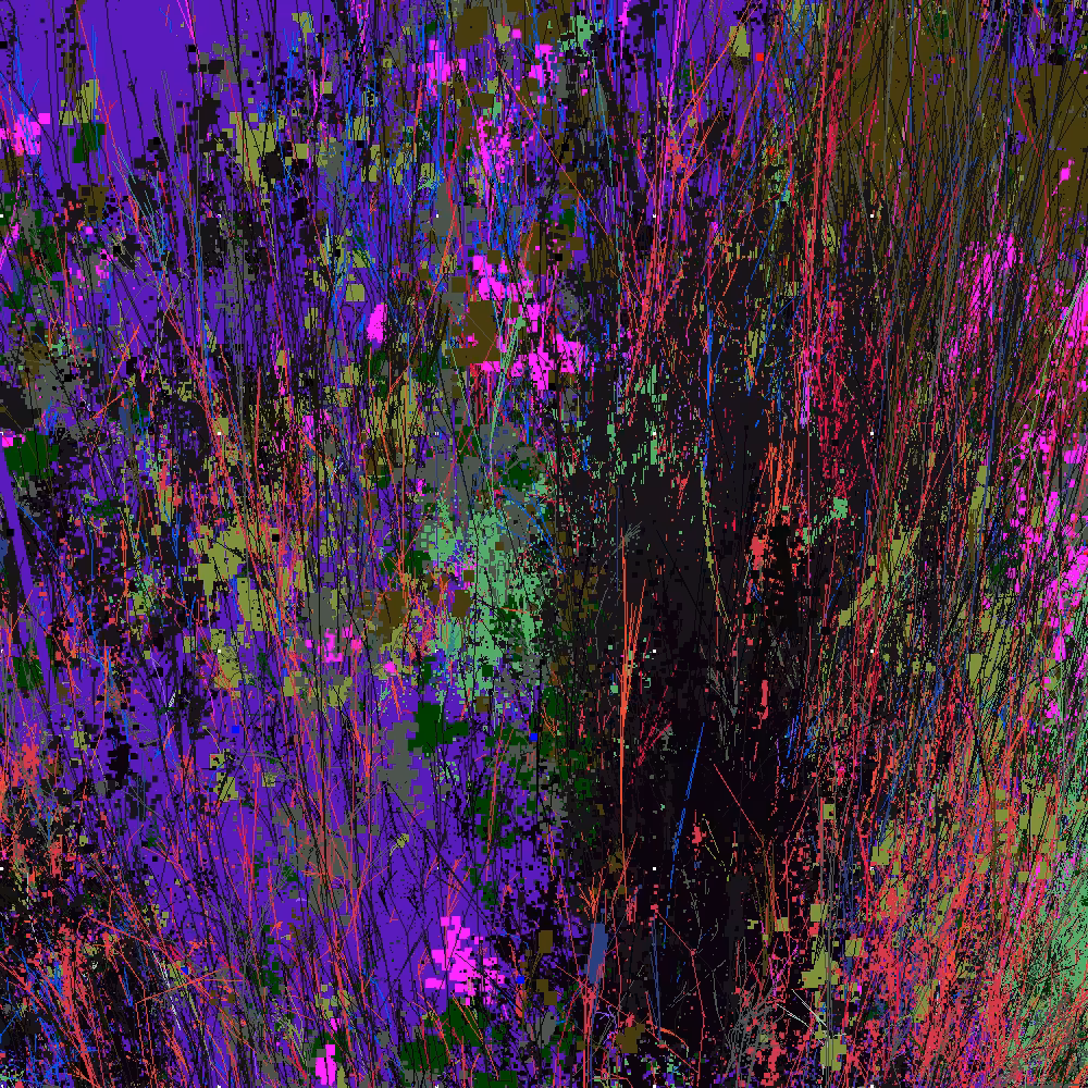 Infinite Garden: 95460 Flowers