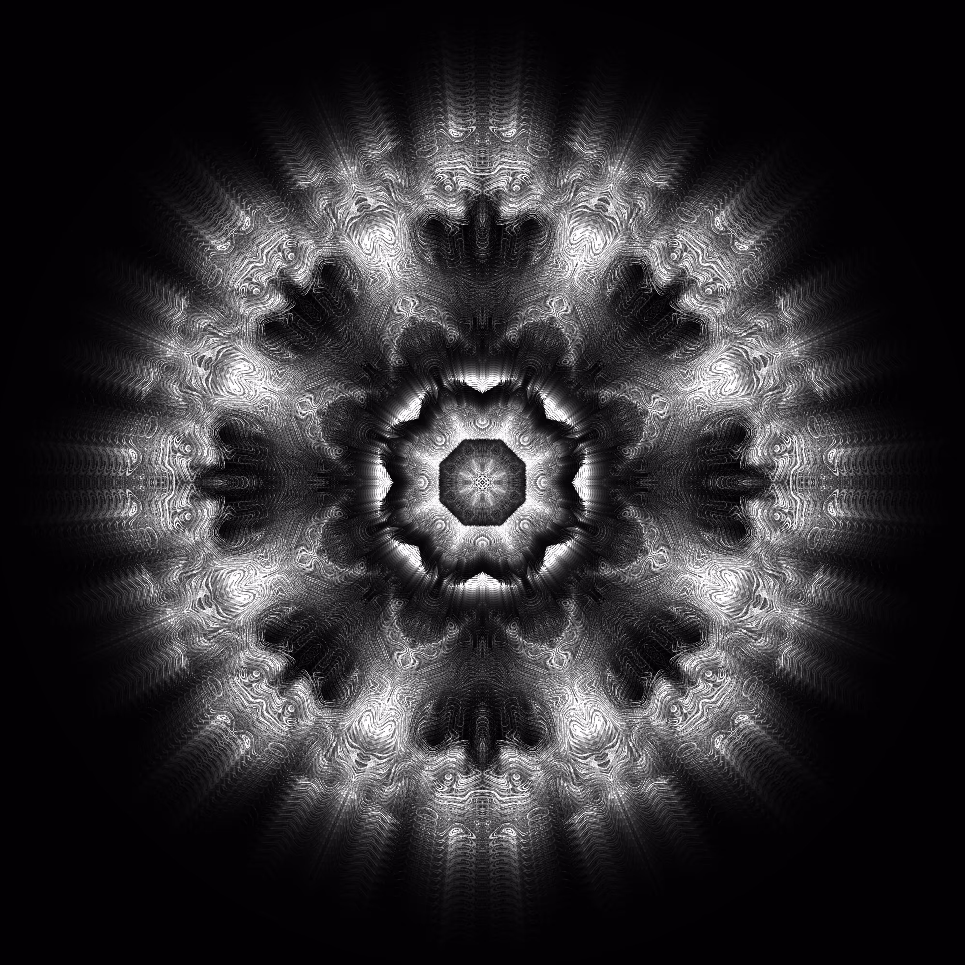 dark camellia D27