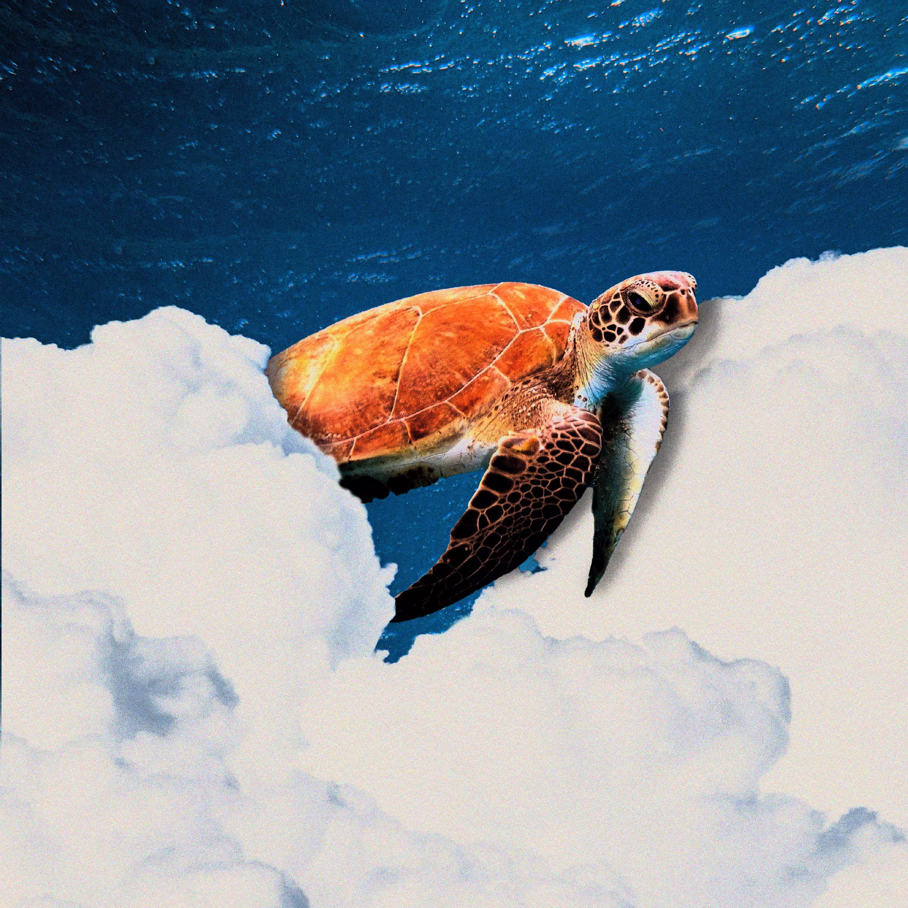 Explore