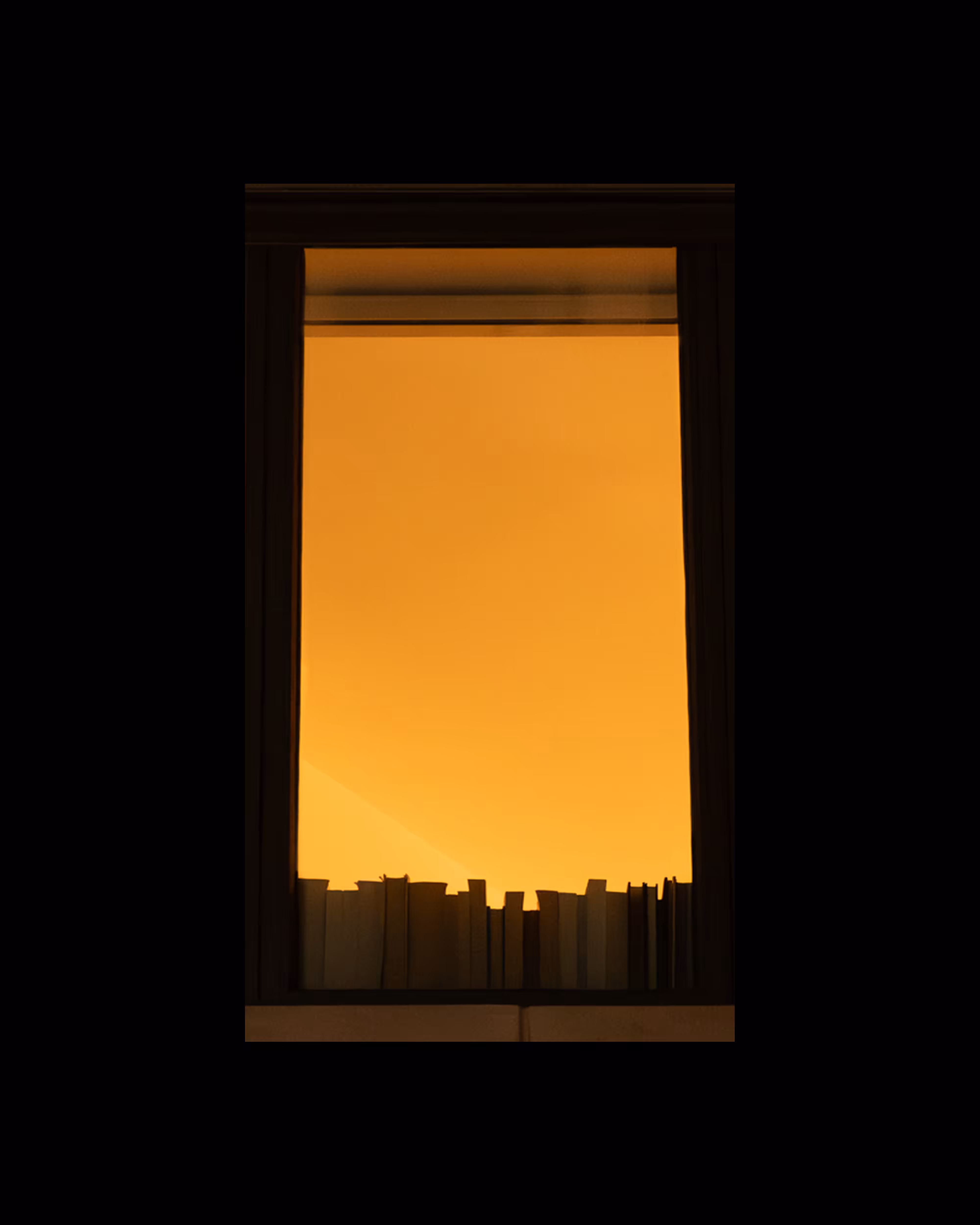 WINDOW 755