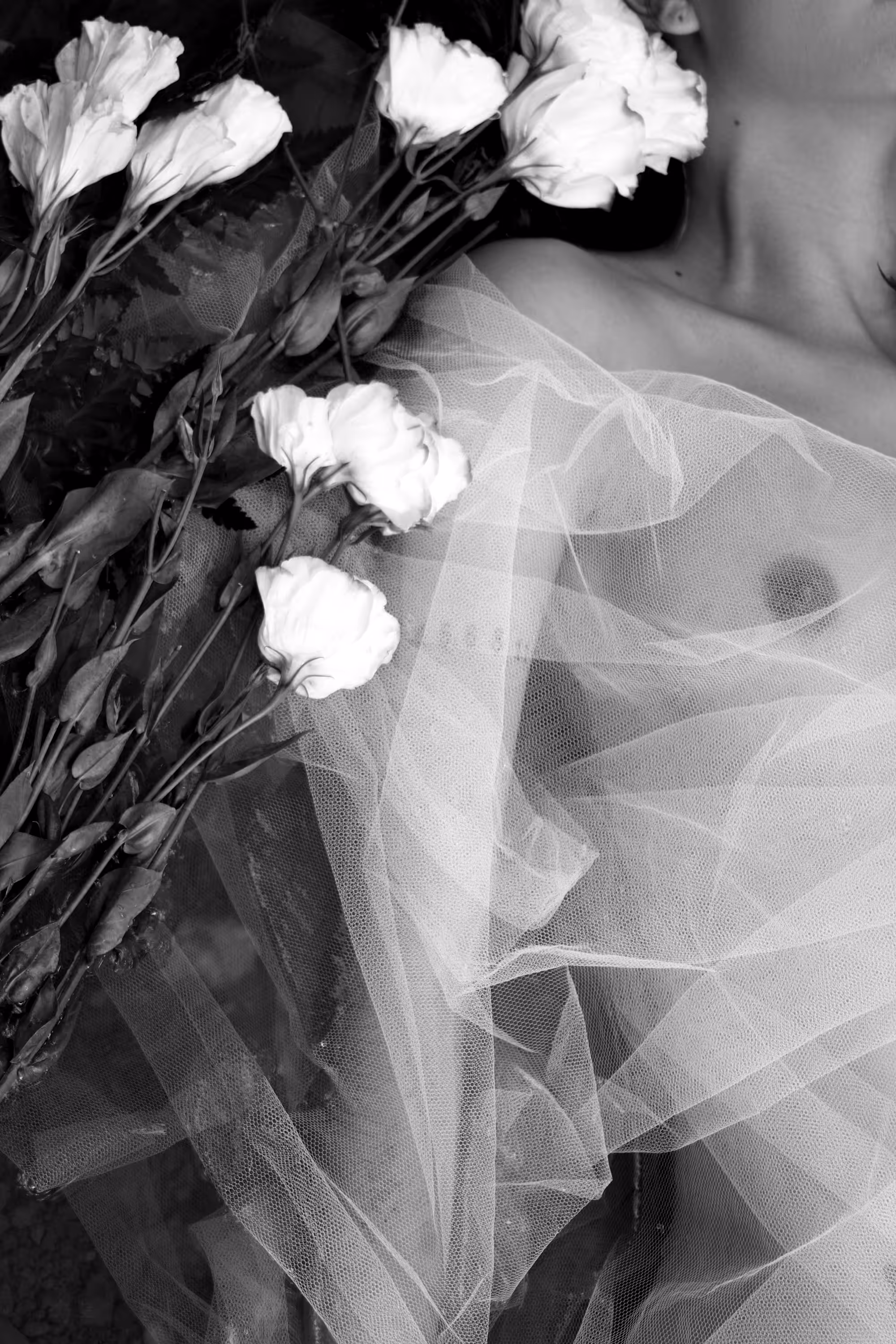 Veil