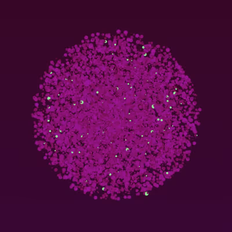 Coalesce #150