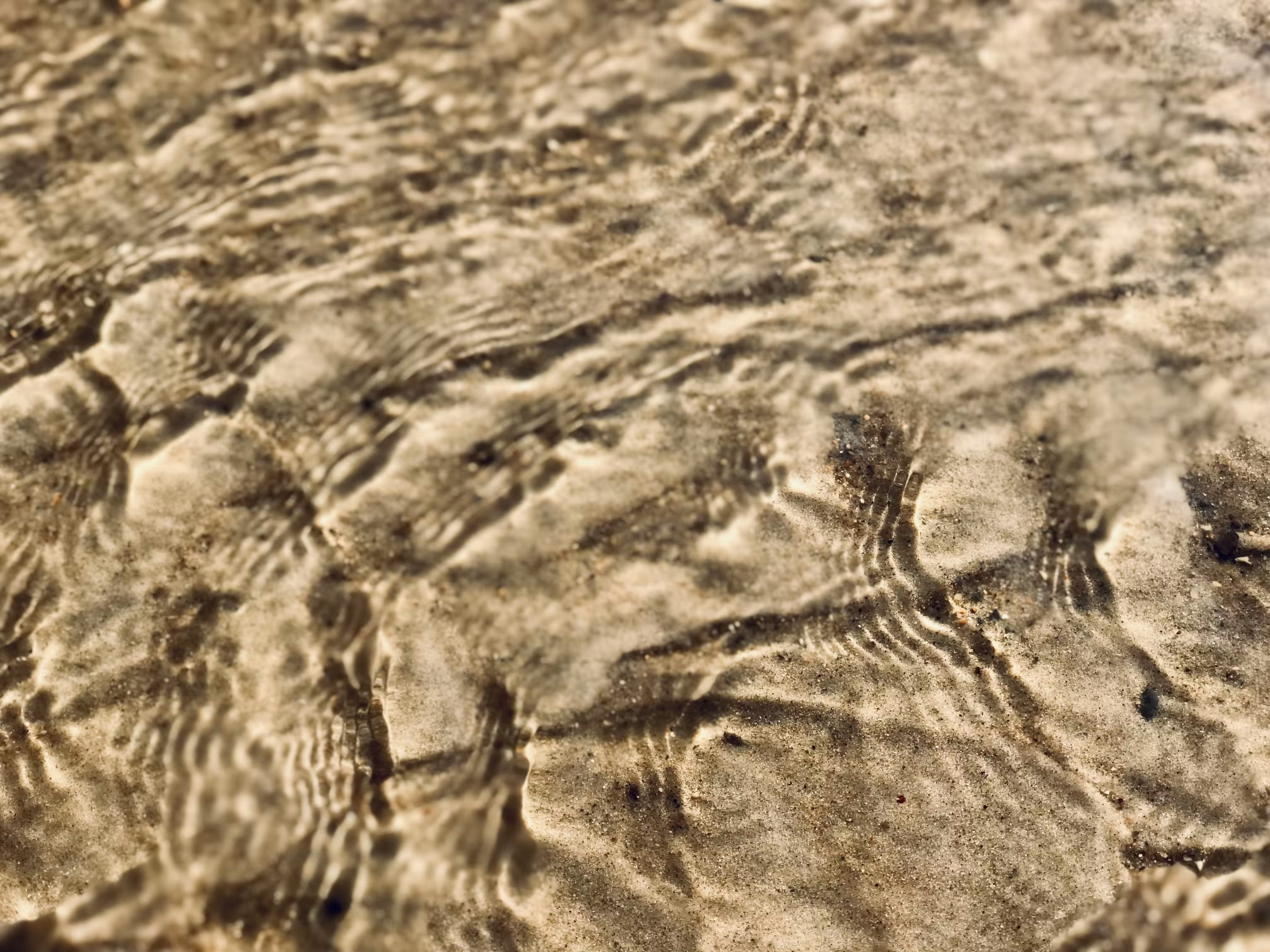 Melt Water