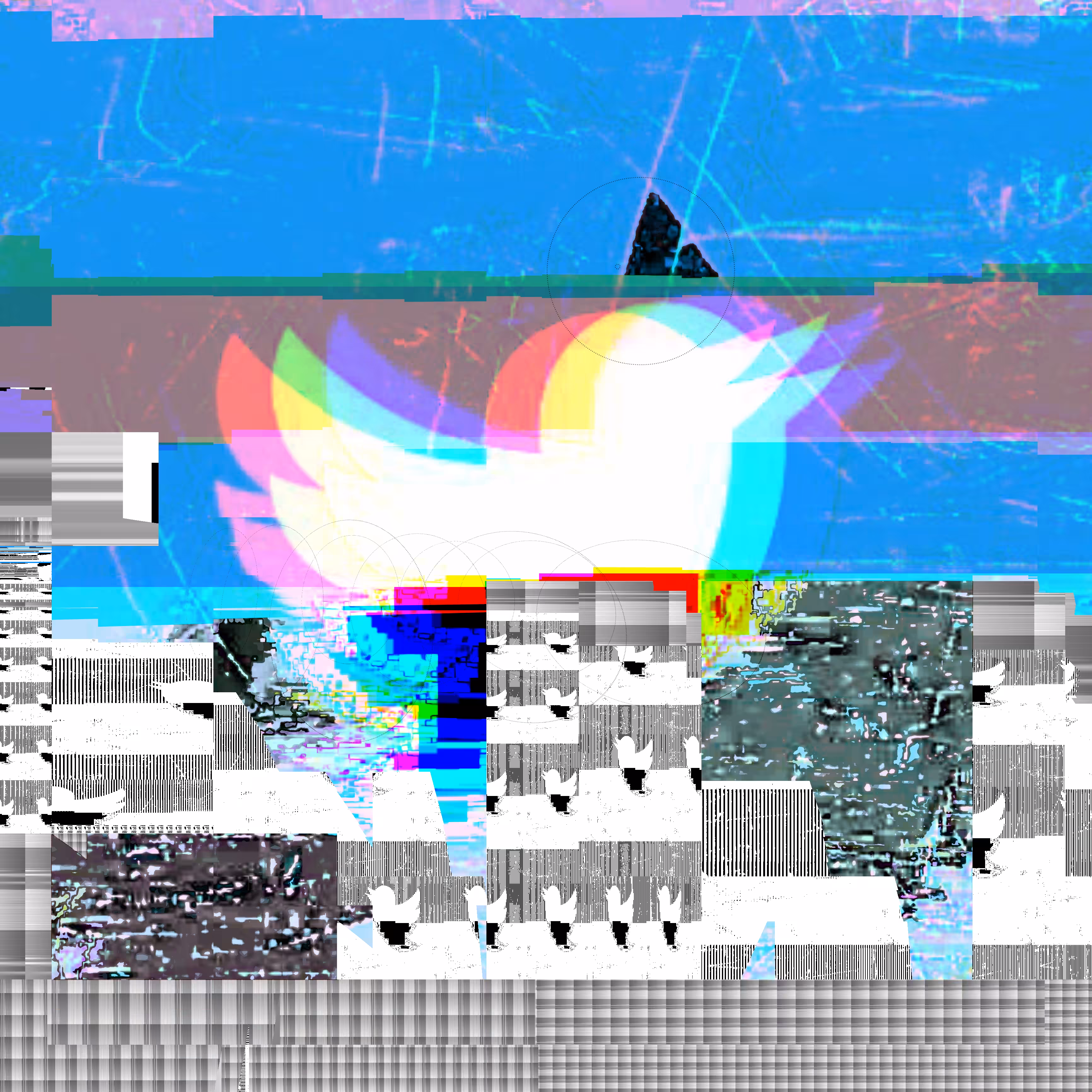  🐦 🐦 🐦