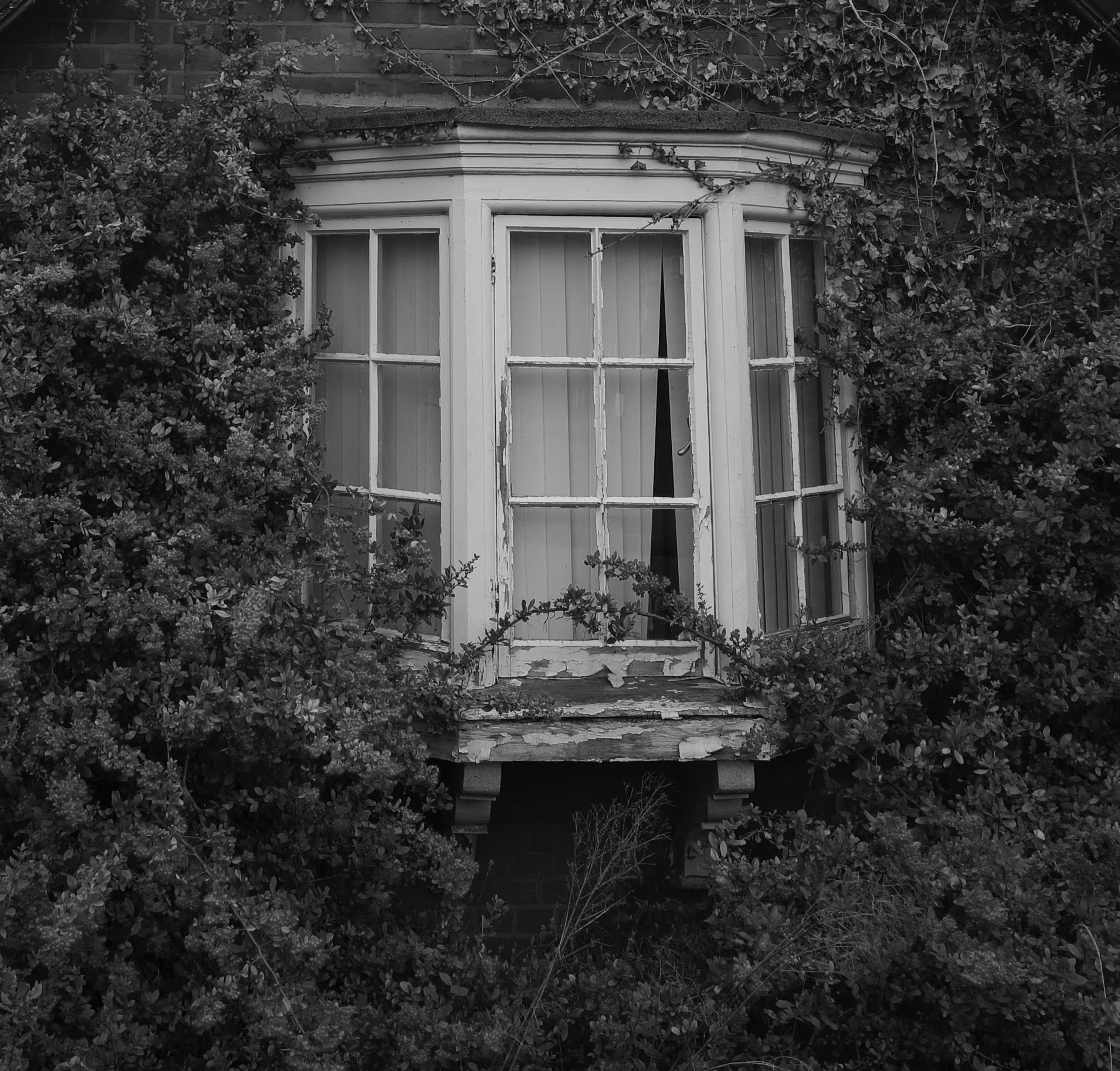 Window