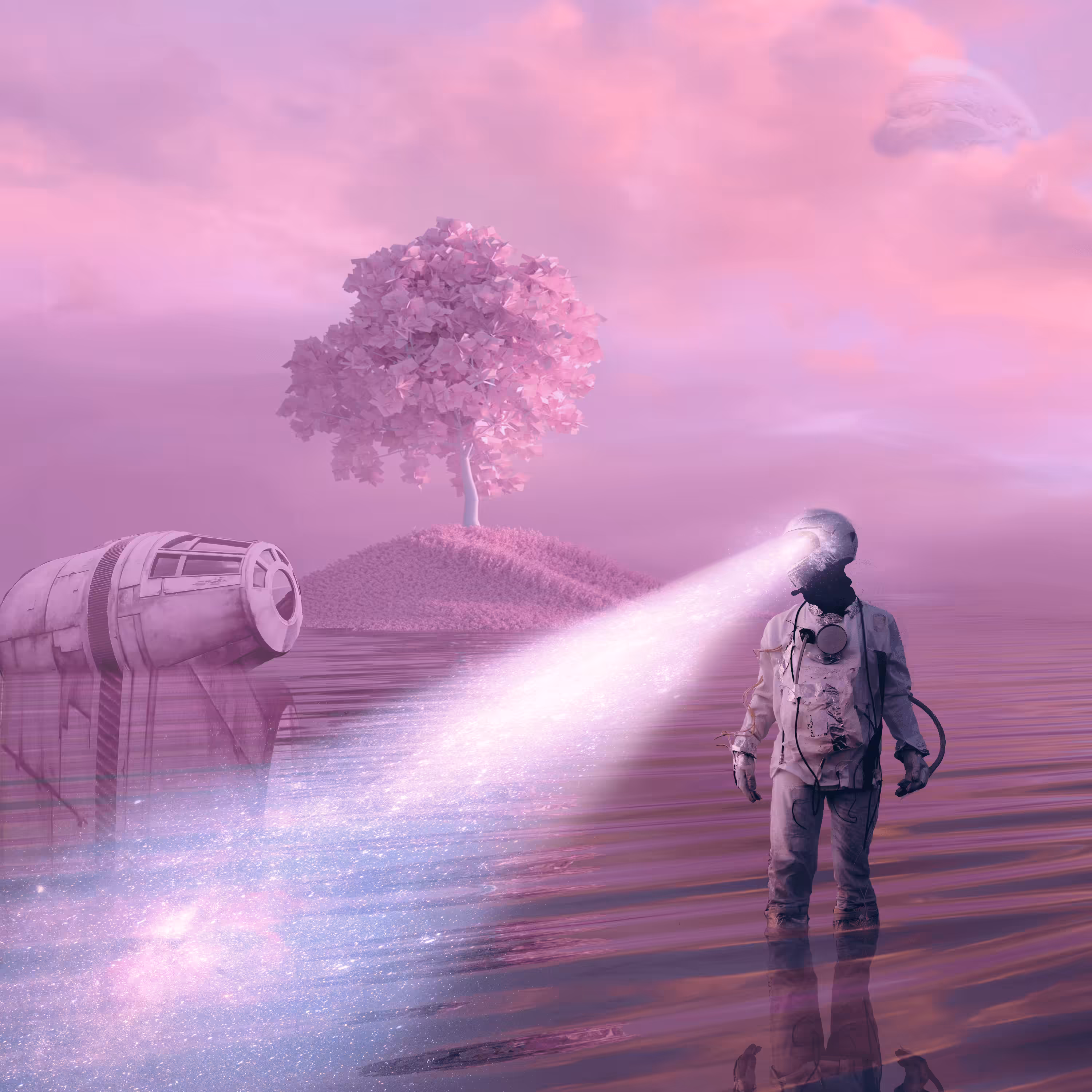 searching