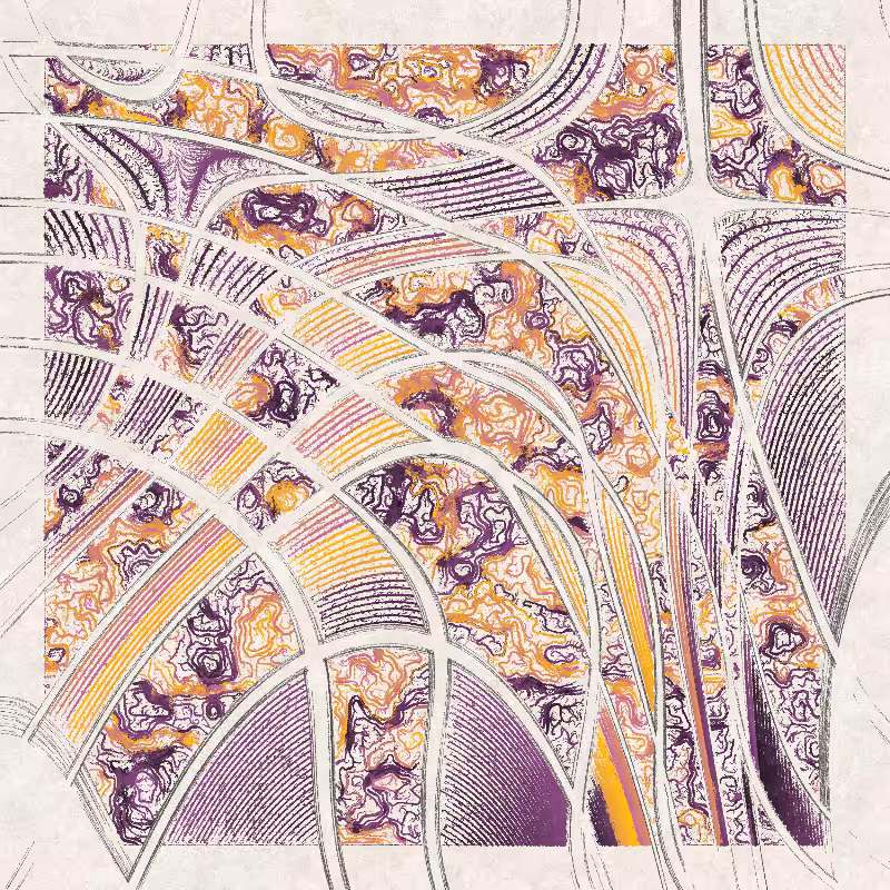 Curlida #65