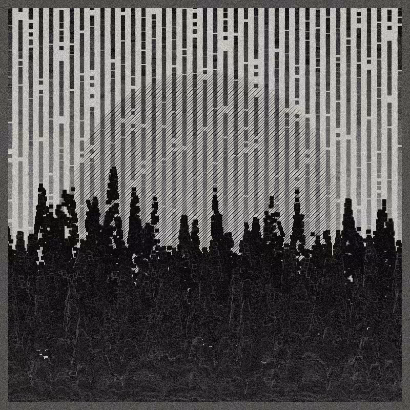 Data Drop #19