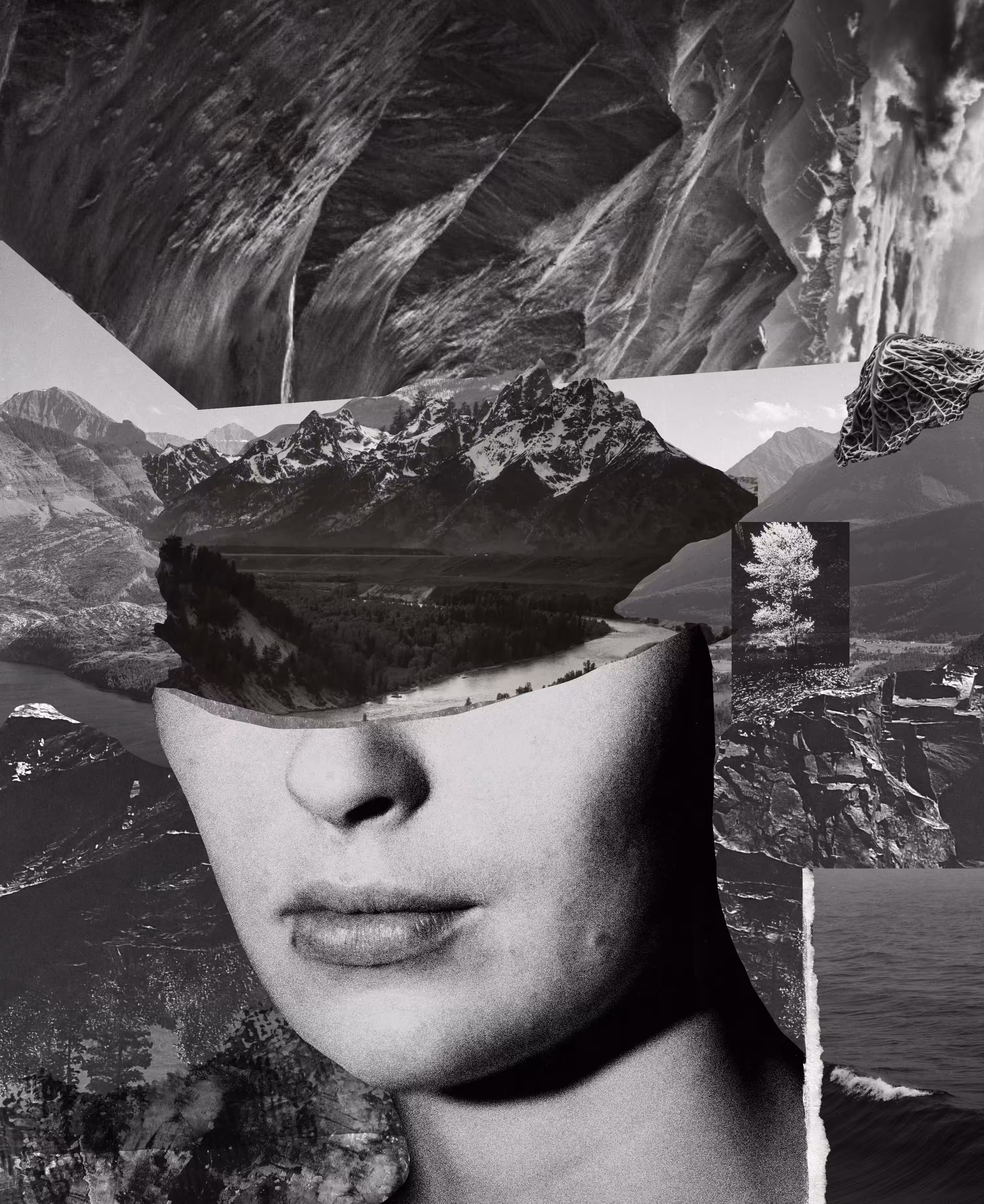 Tidal wave 
