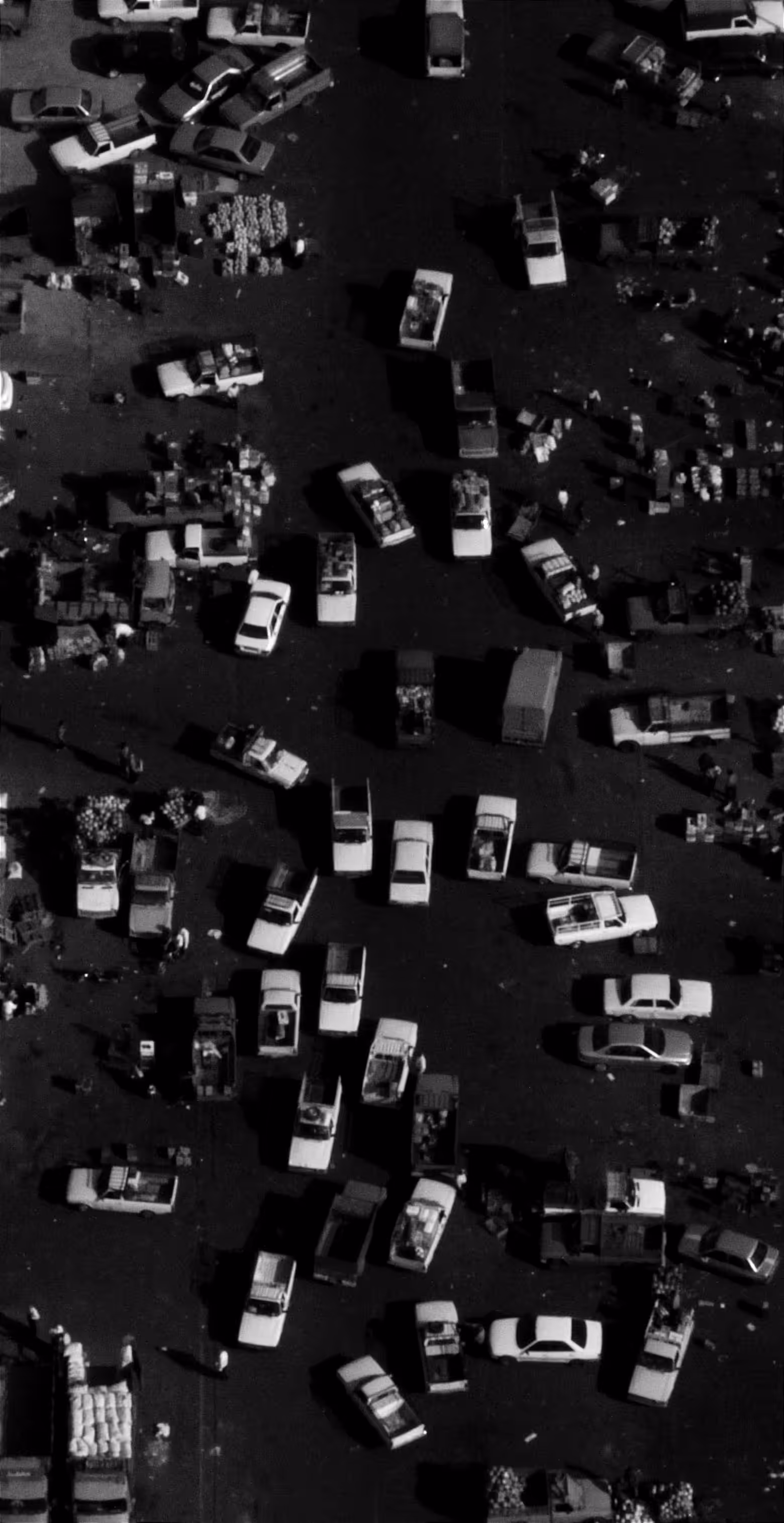 Photo 48 ( Chaos )