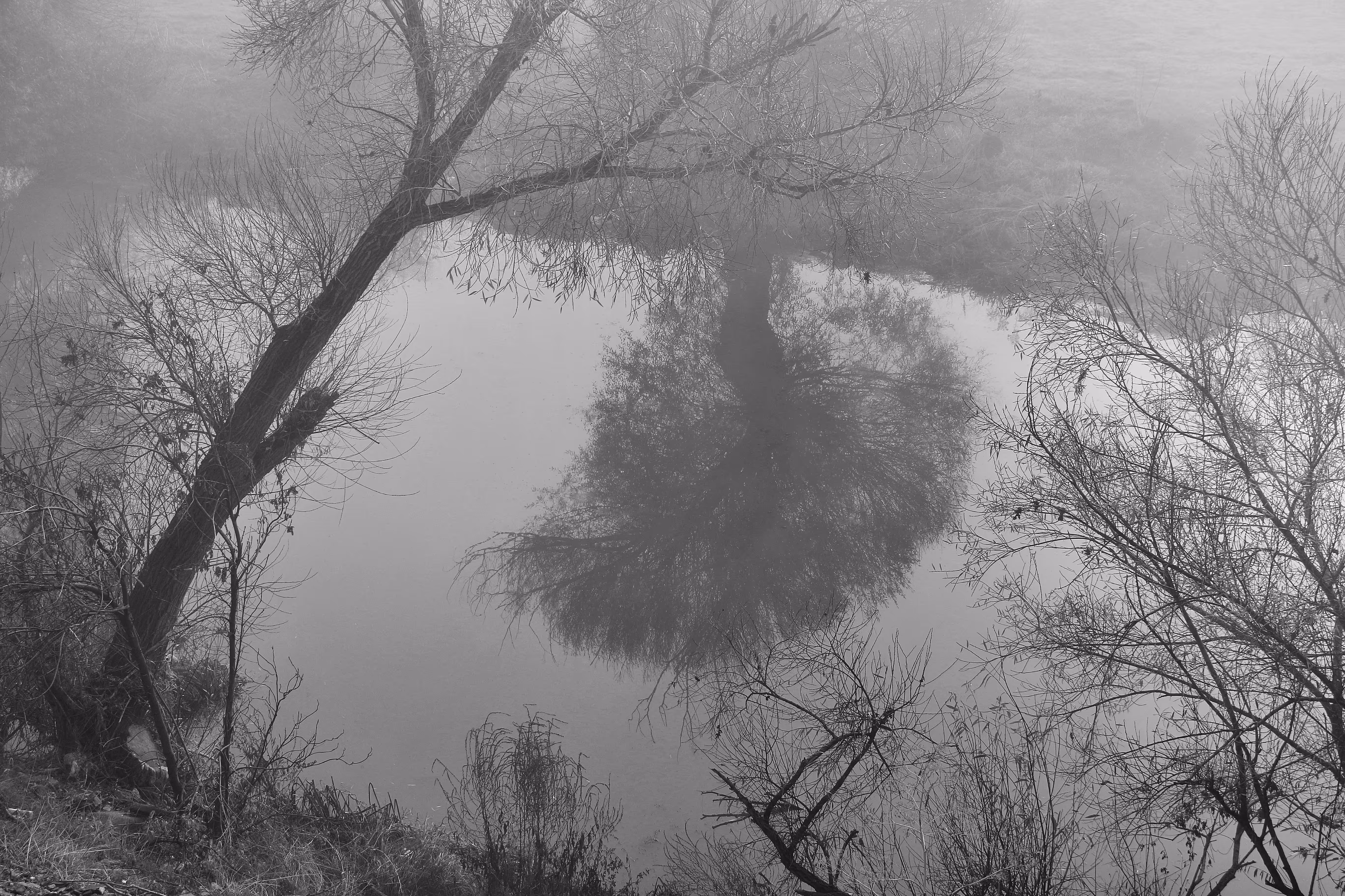 Reflection