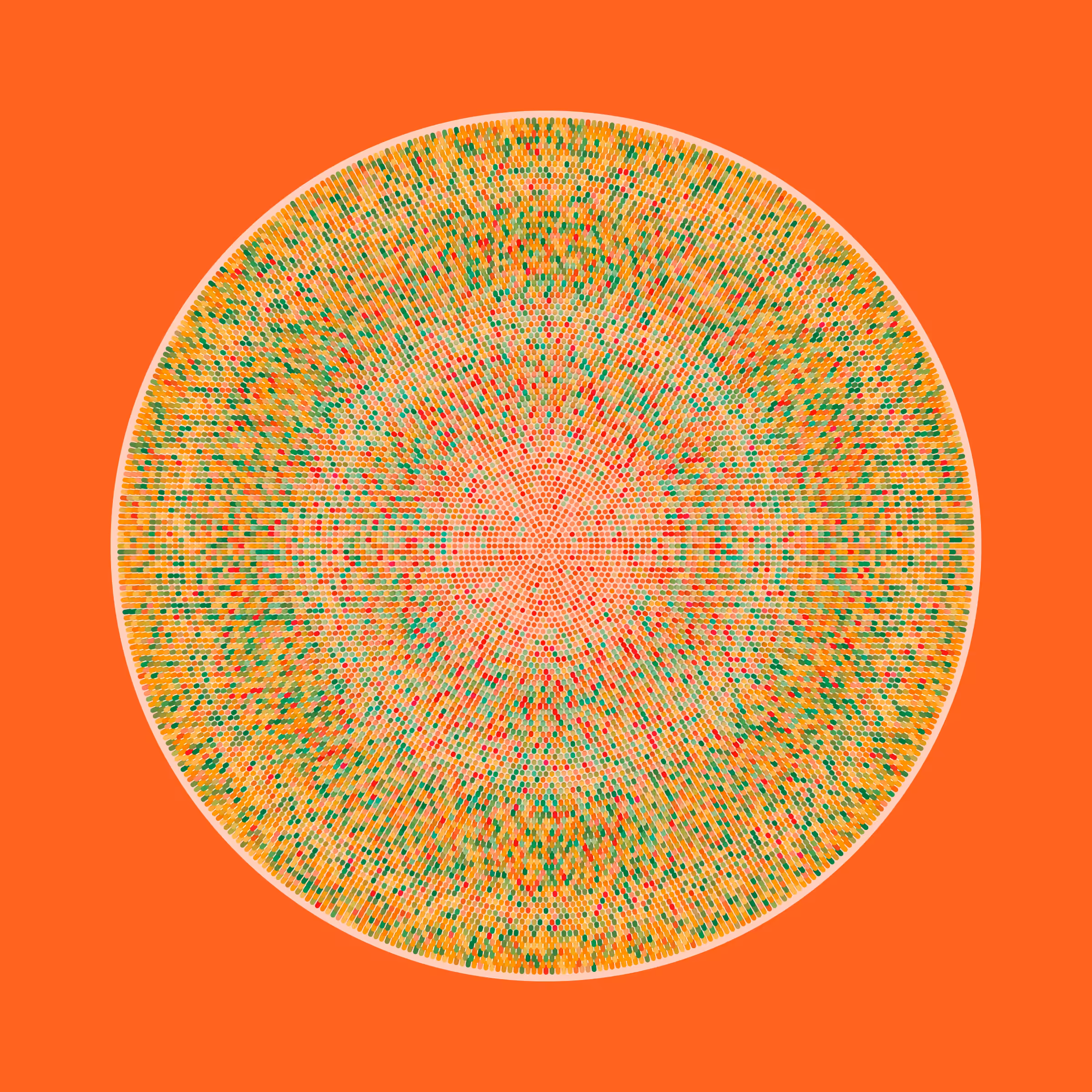 Transitions #1546