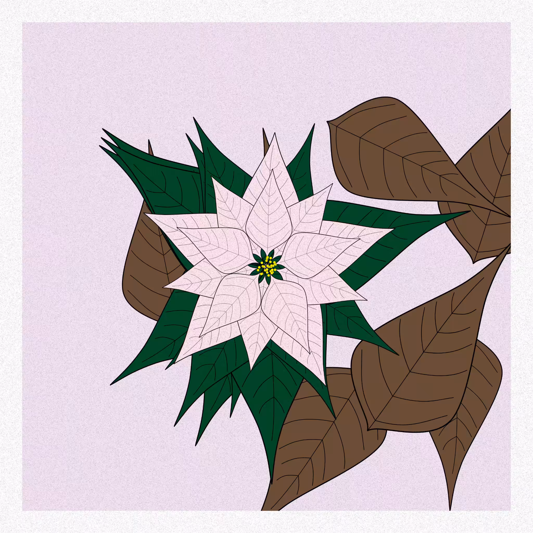 Flowers #81