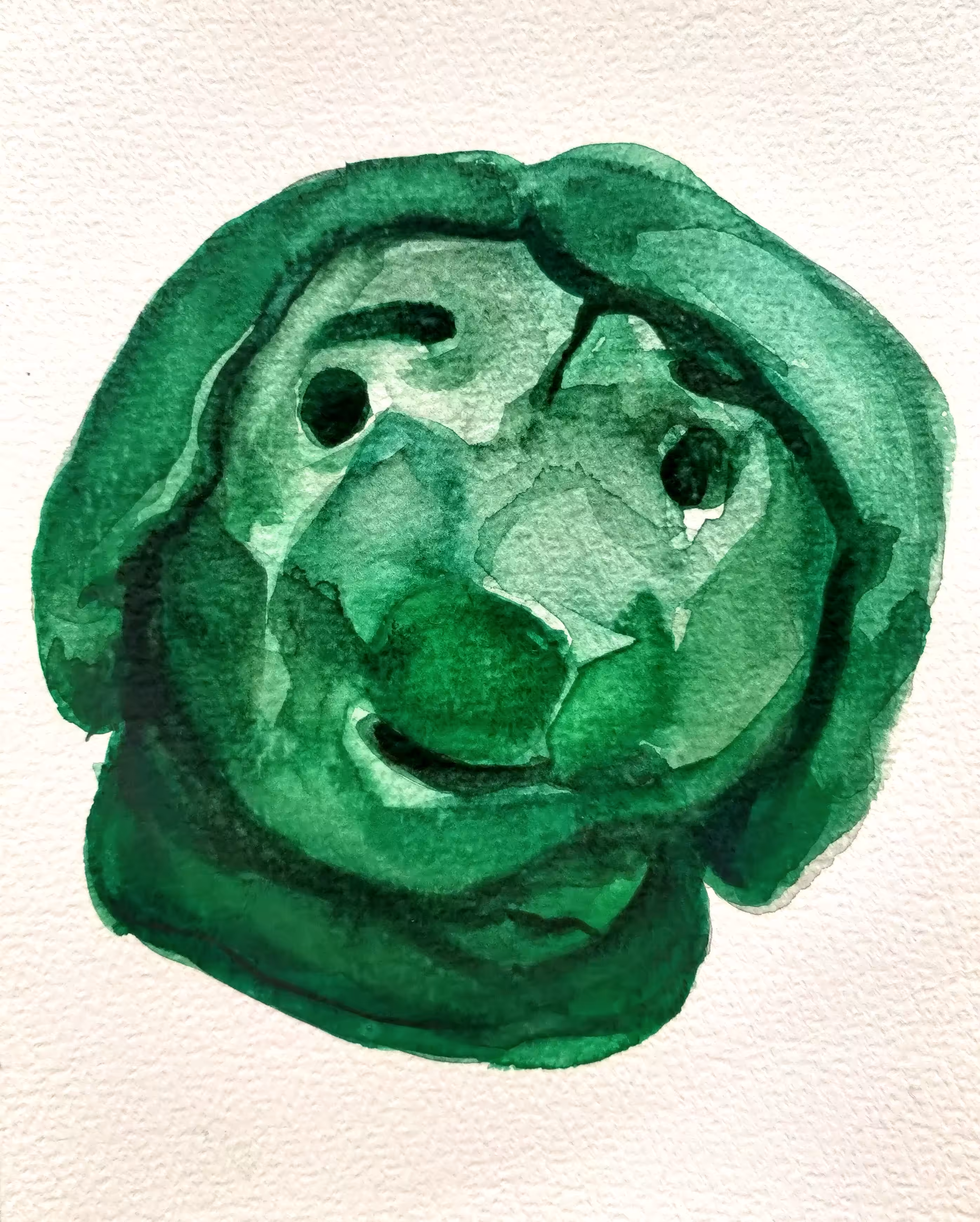 A Play Dough Man