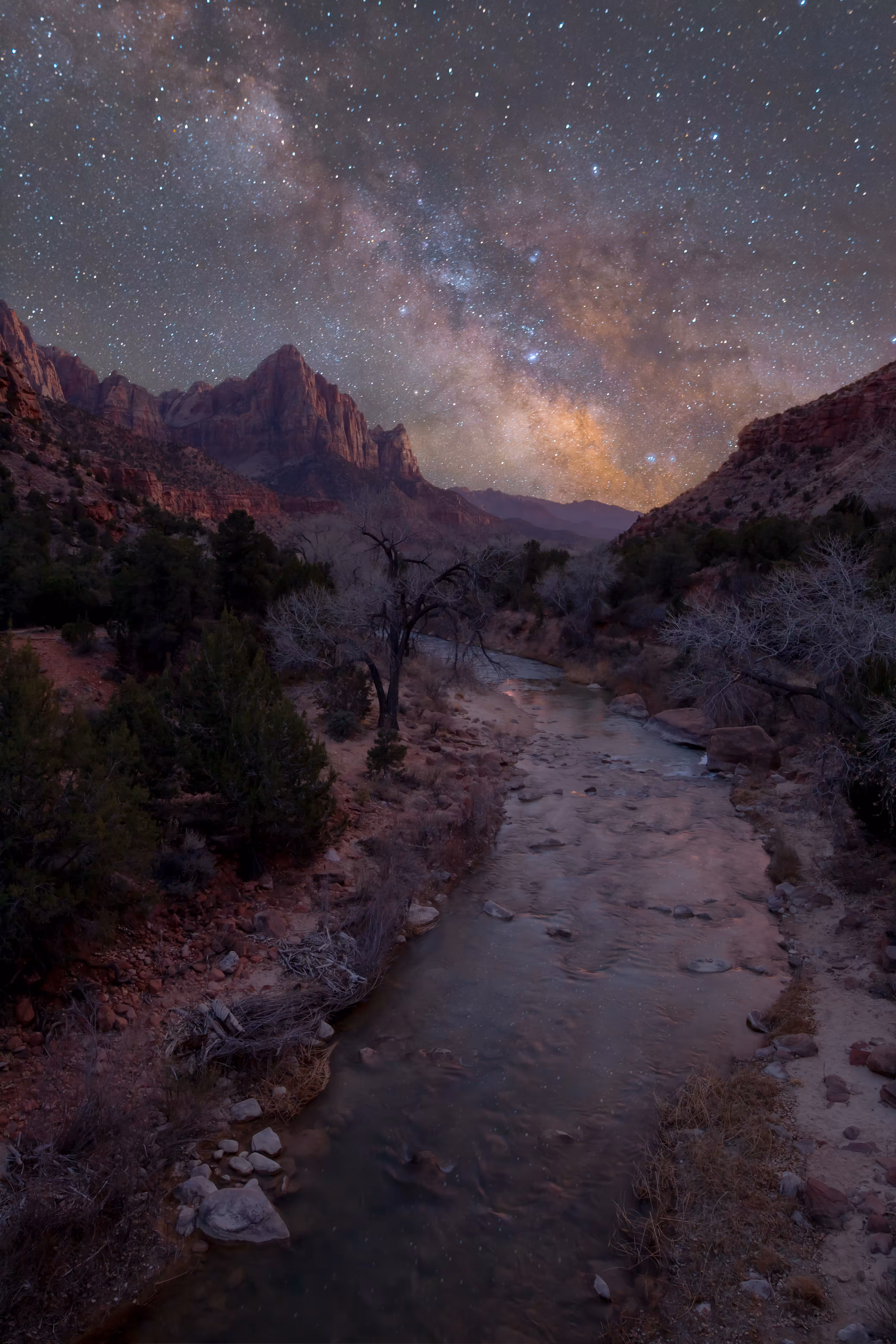 Zion Lights
