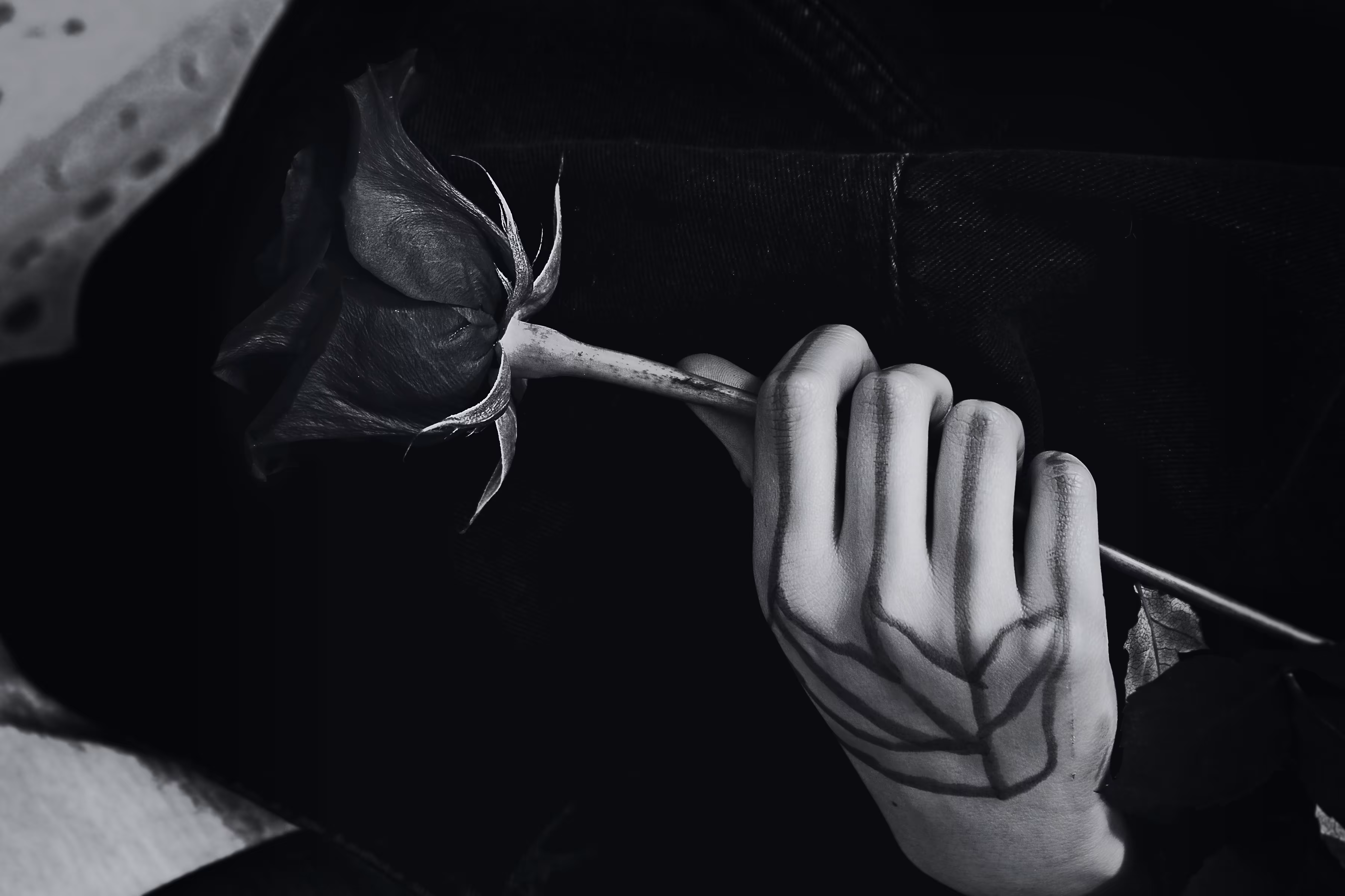 _swan song