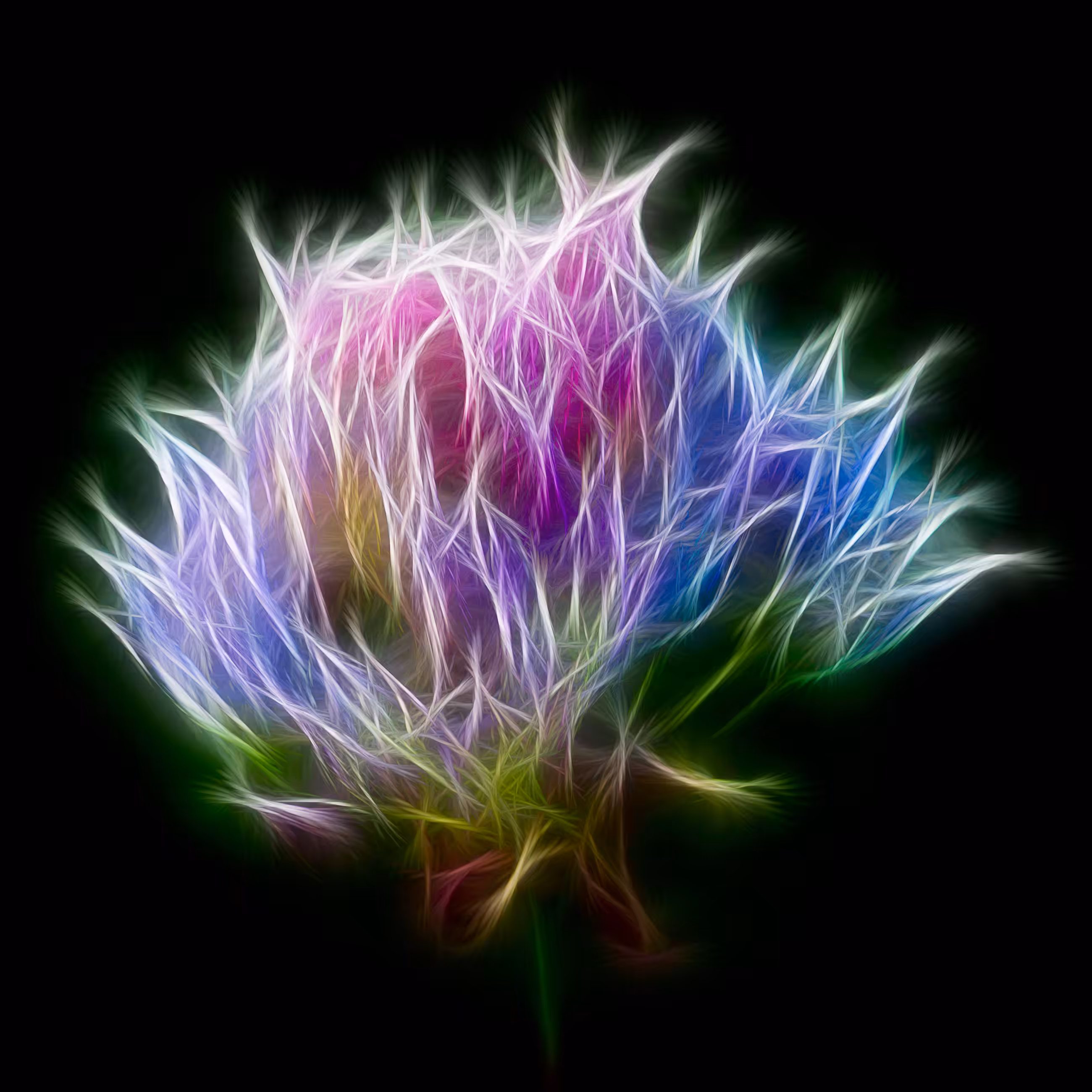 Color Burst