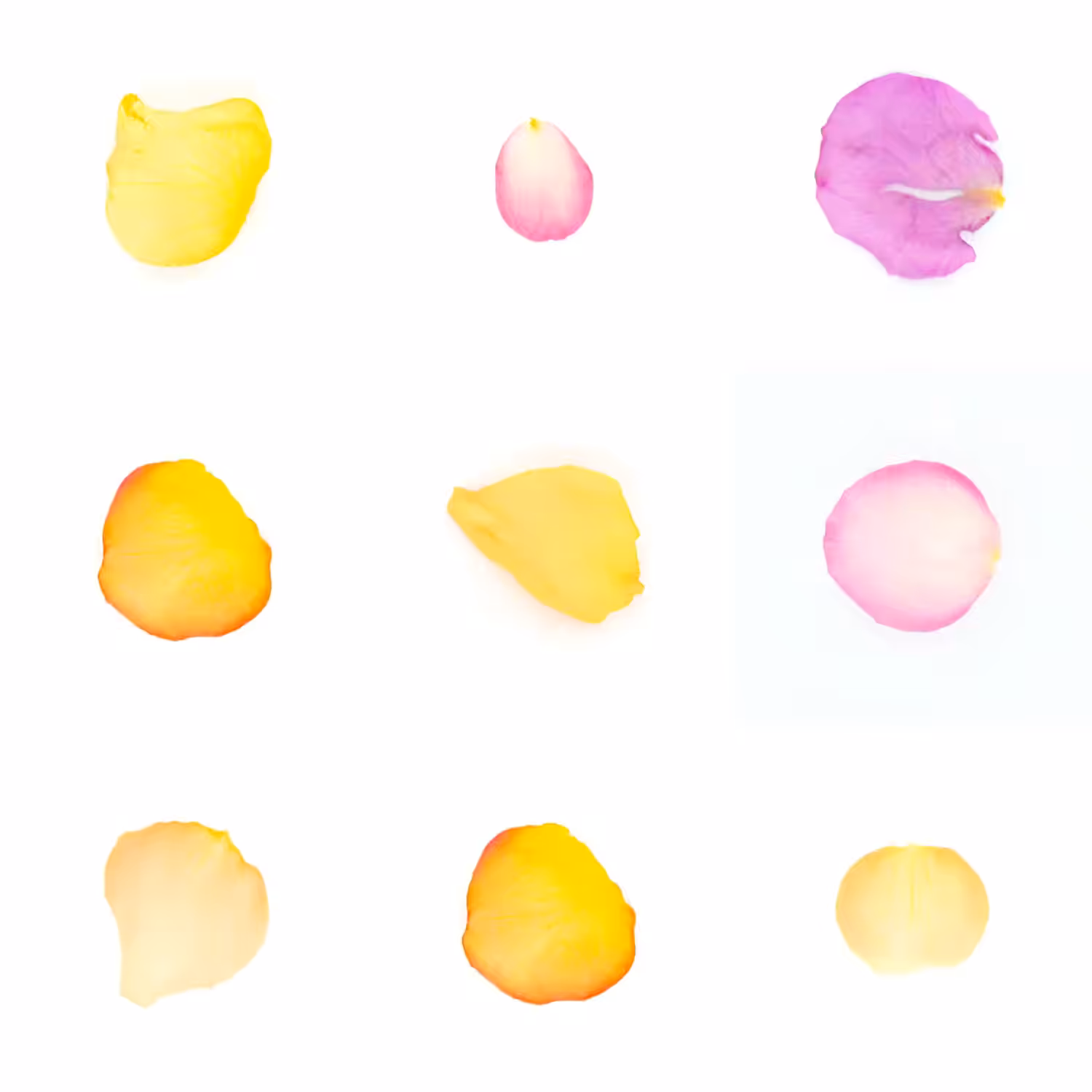 Infinite Petals 3x3#3402