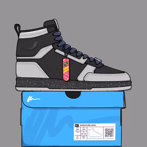 Signature Sneakers Highs #146