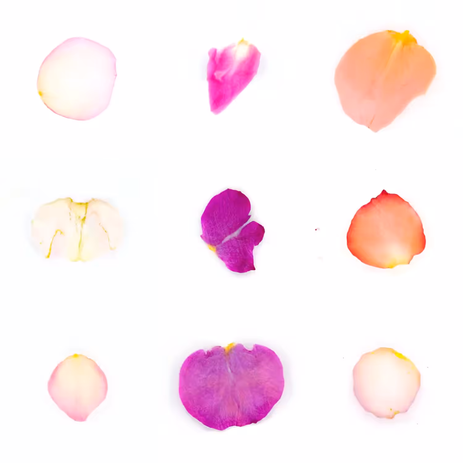 Infinite Petals 3x3#3930