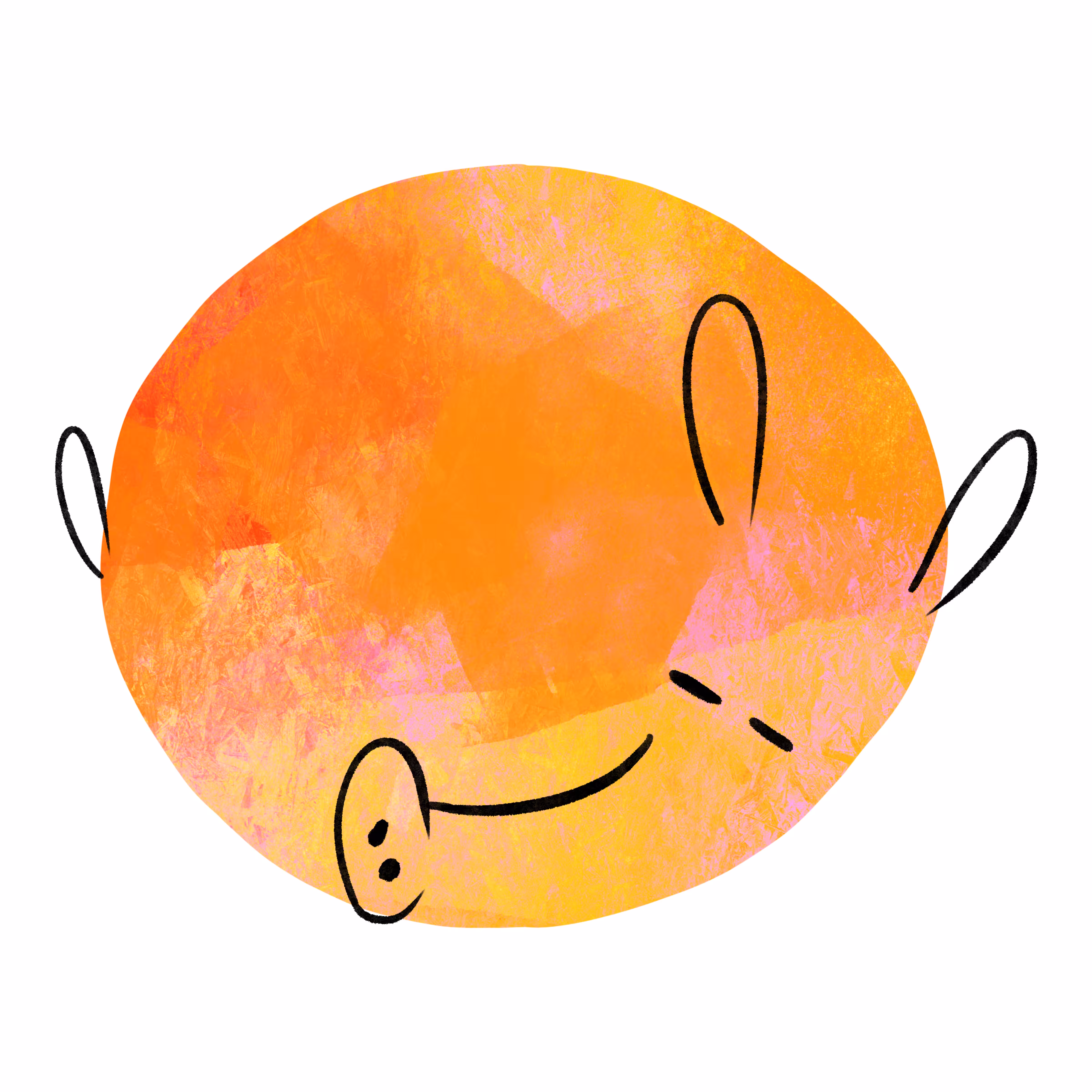 Just a Aardvark!!