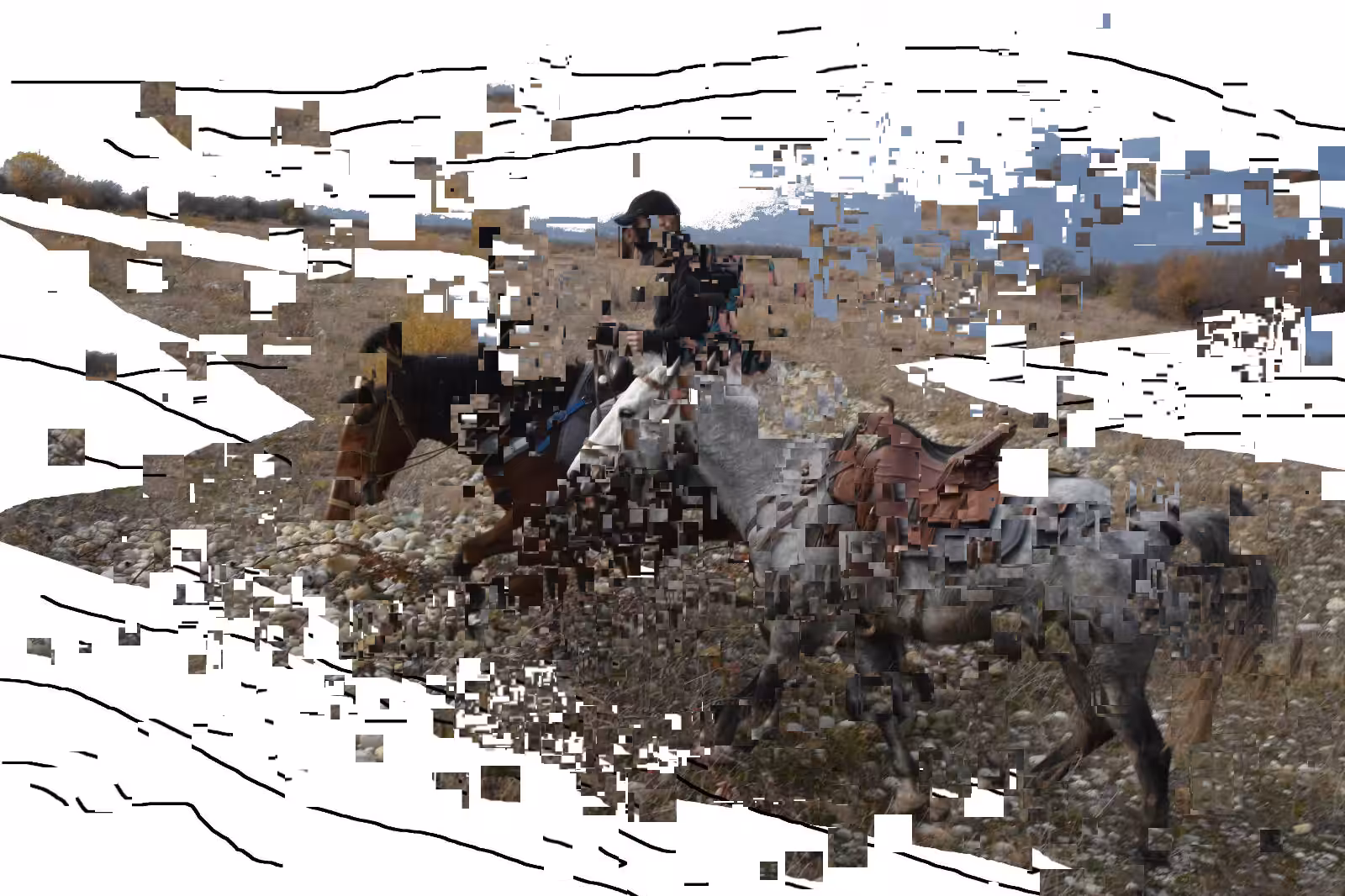 Corrected Rider 3