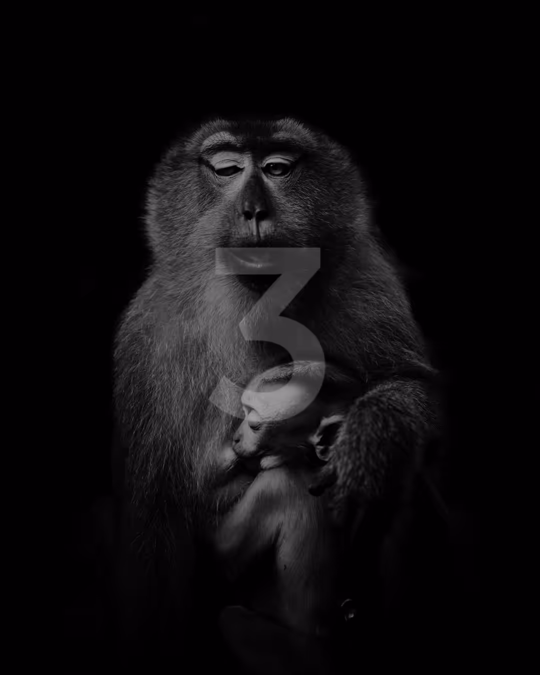 "3-2-1" Photo Book