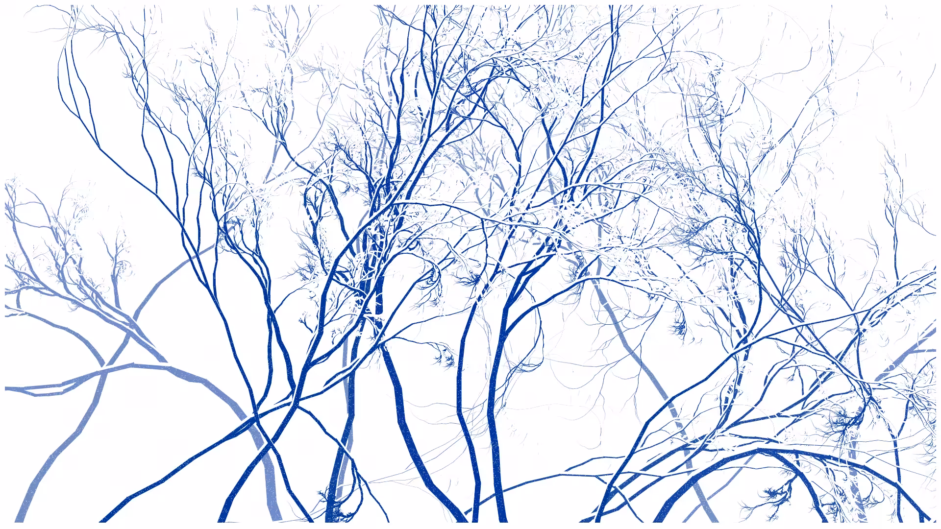 SCHNEEWALD #72