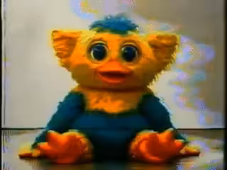 Burd-e-Buddy