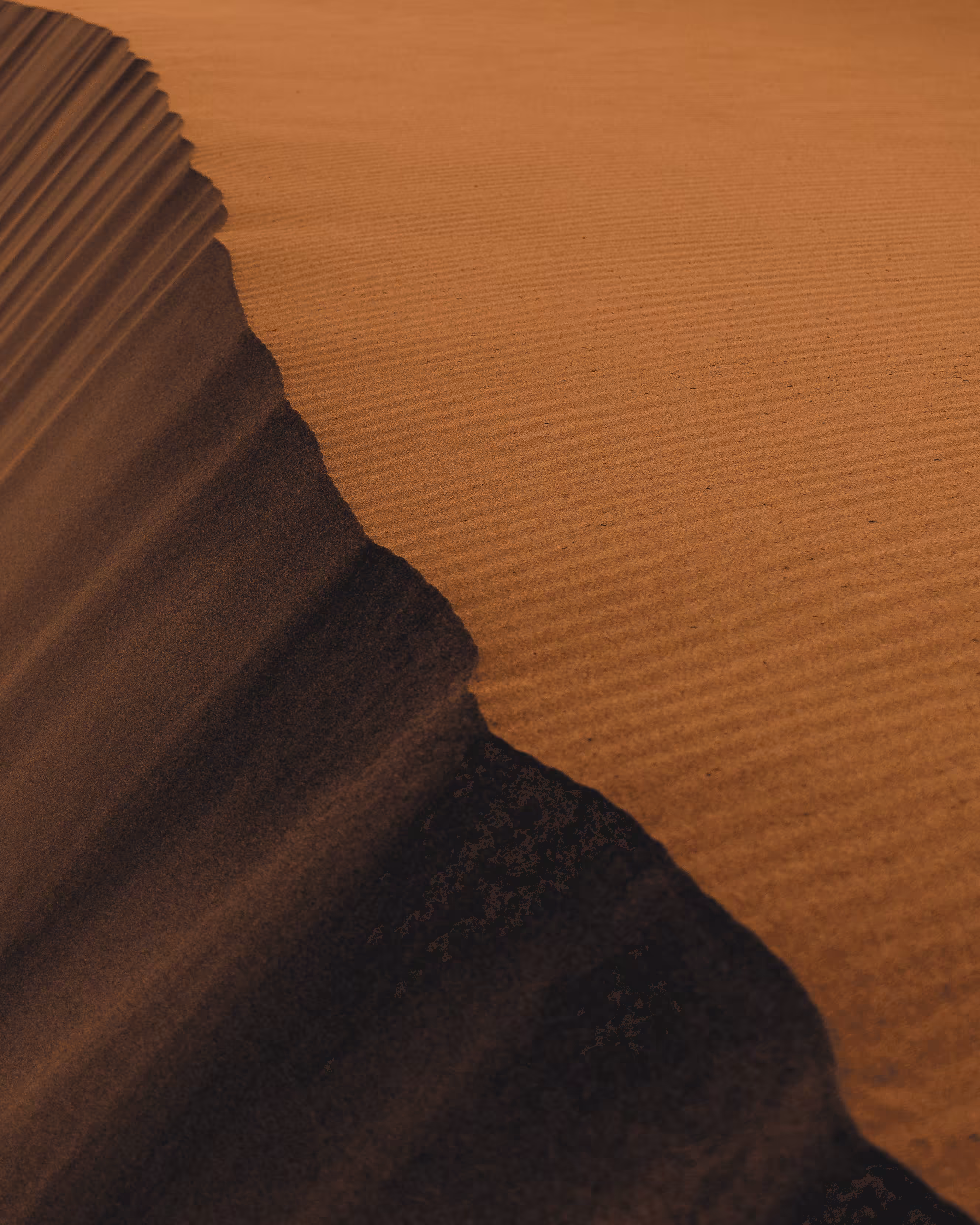 Dune: The Collection #16
