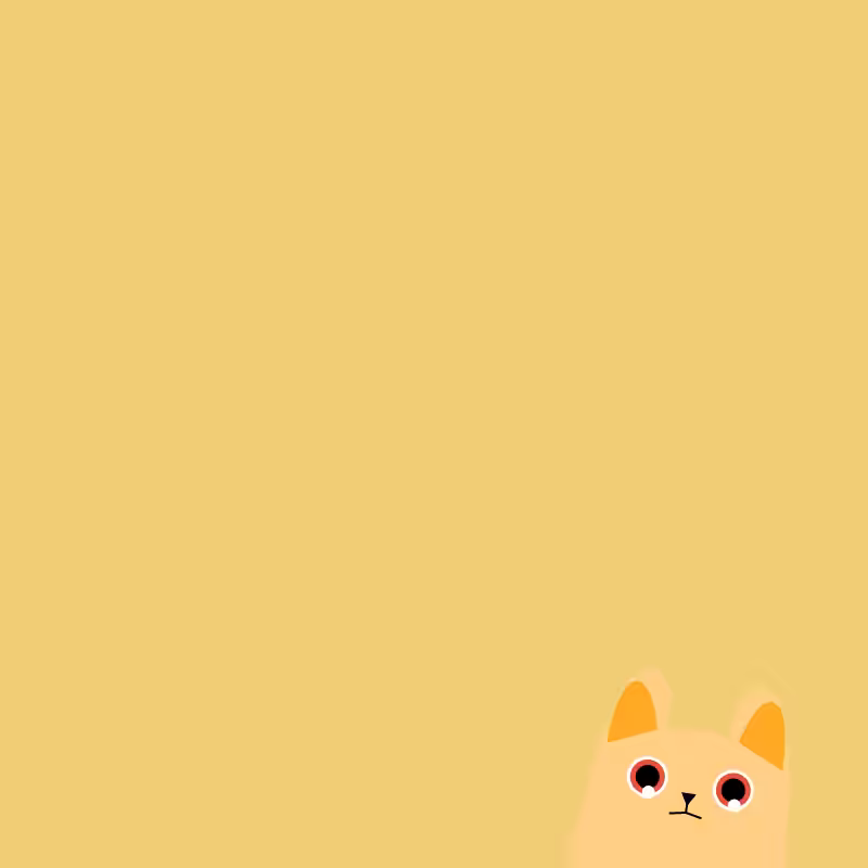 Where is the cat? #23