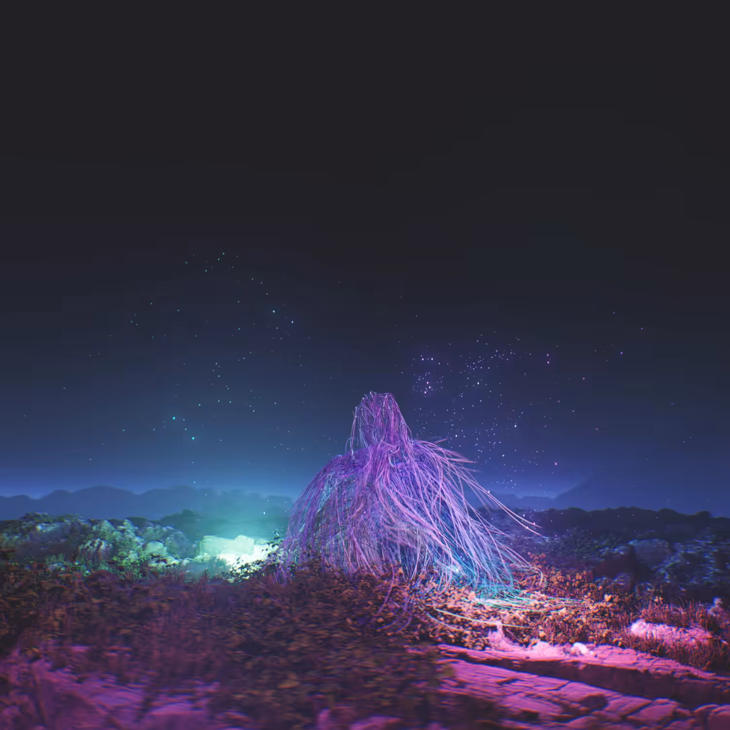 梦