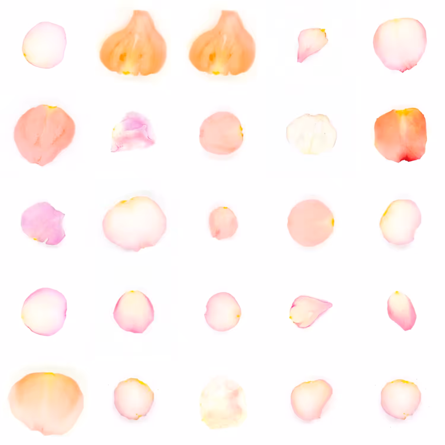 Infinite Petals 5x5#1508