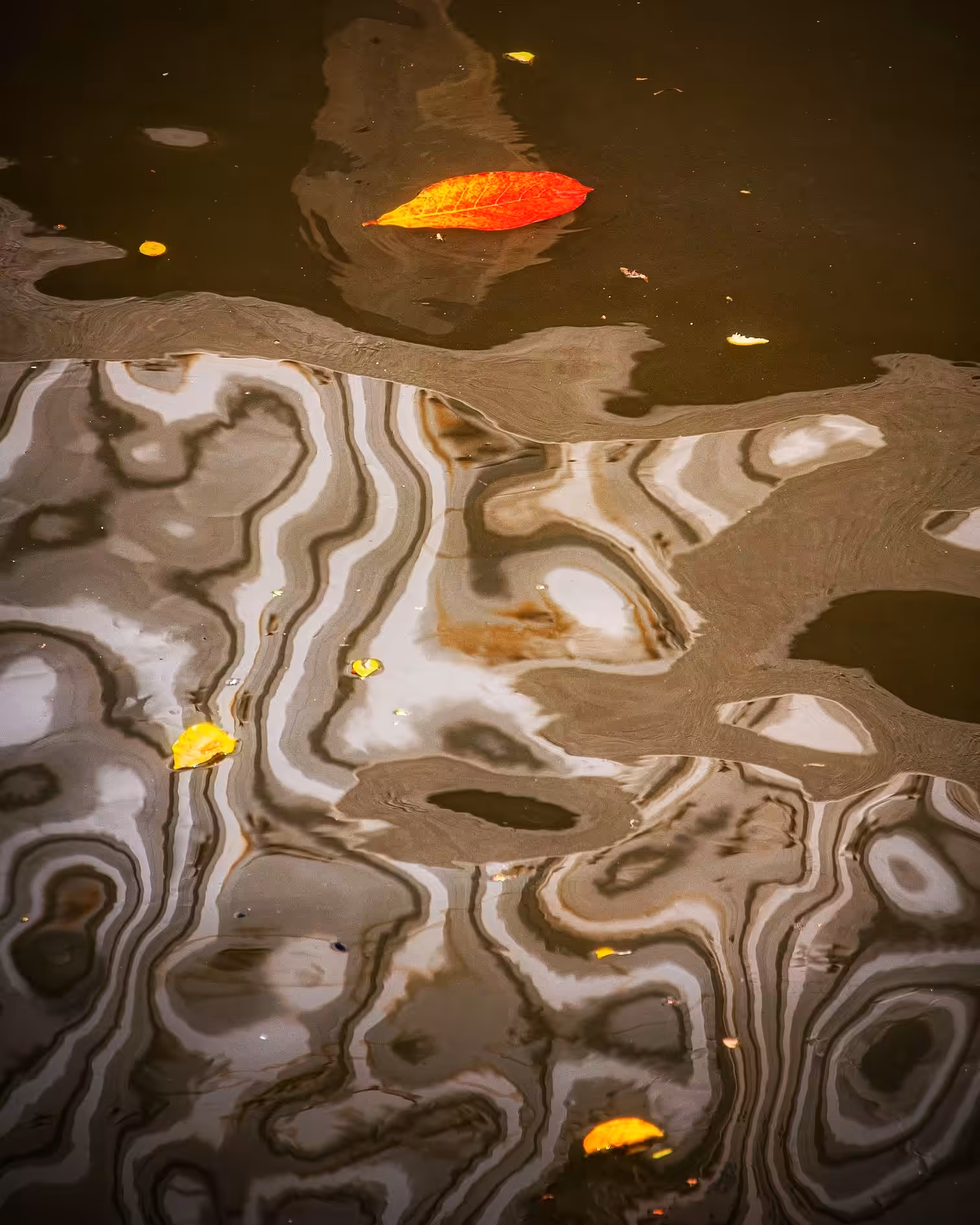 Abstract Poetry