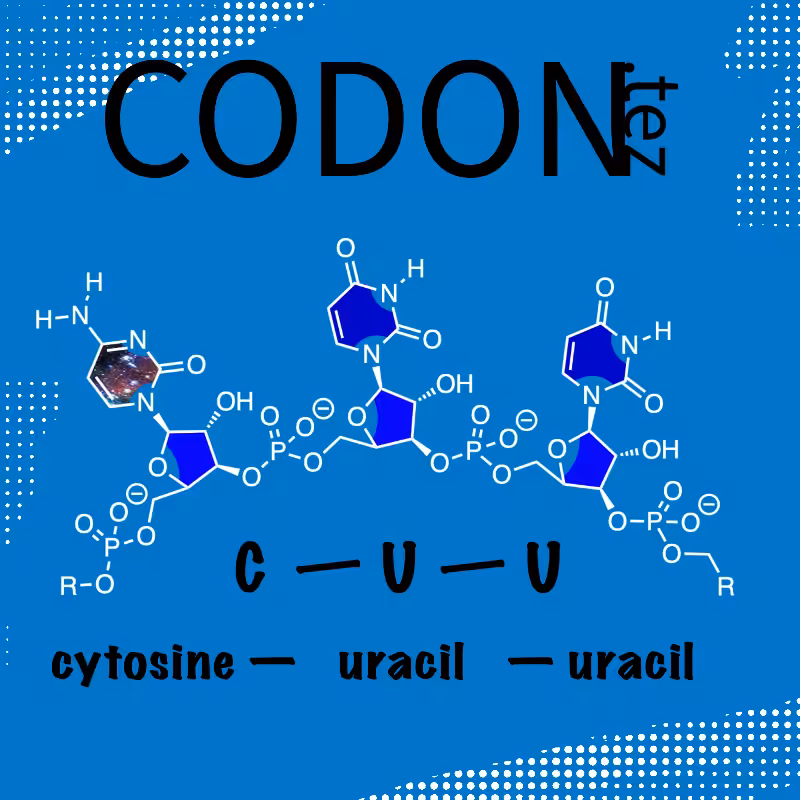 Codon Minter #14