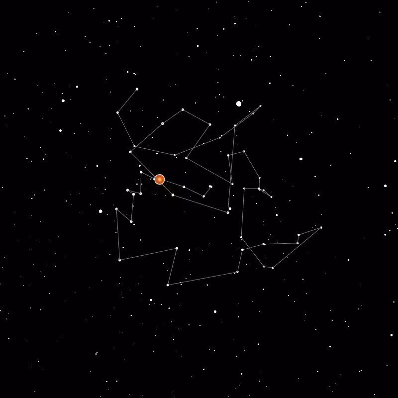 Wallet Constellation - 11