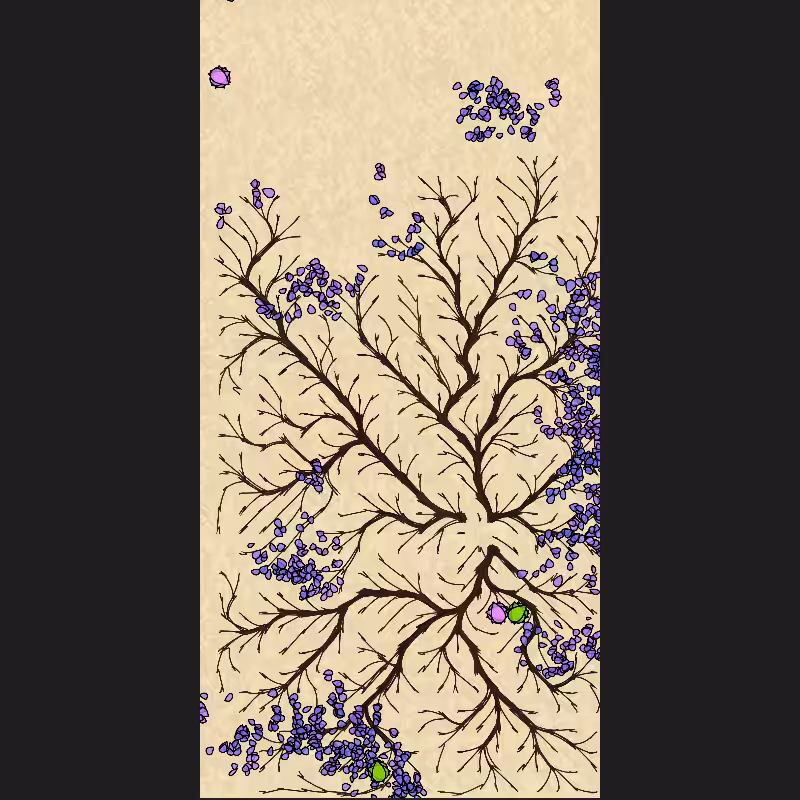 The Root #7