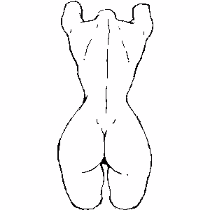 Torso 300x300 Pixel Drawing P019