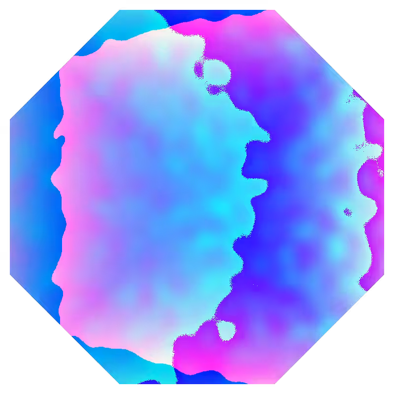 Octo Visage #19