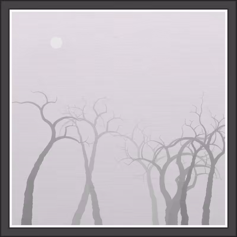 The Foggy Trees #72