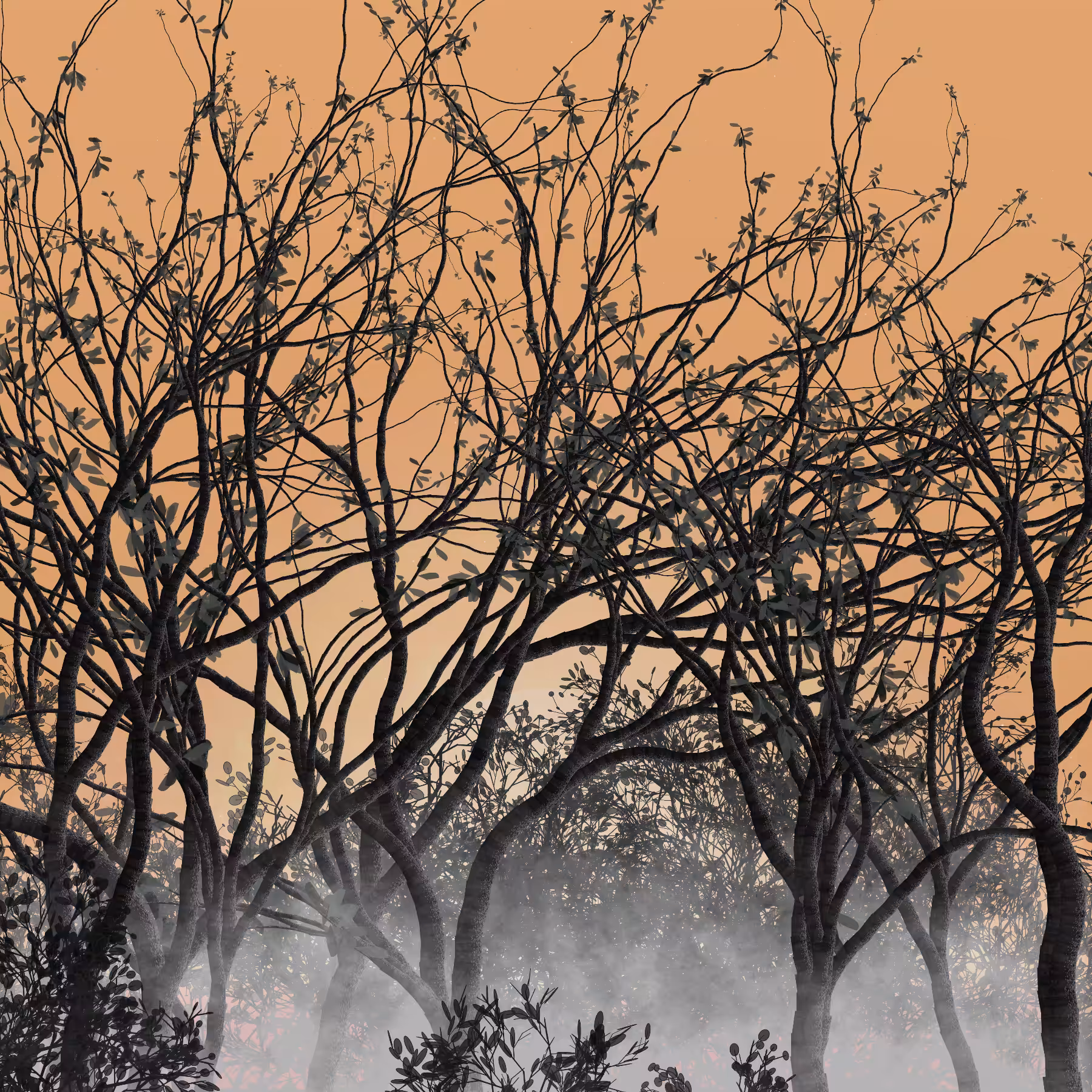 Morning Mist #24