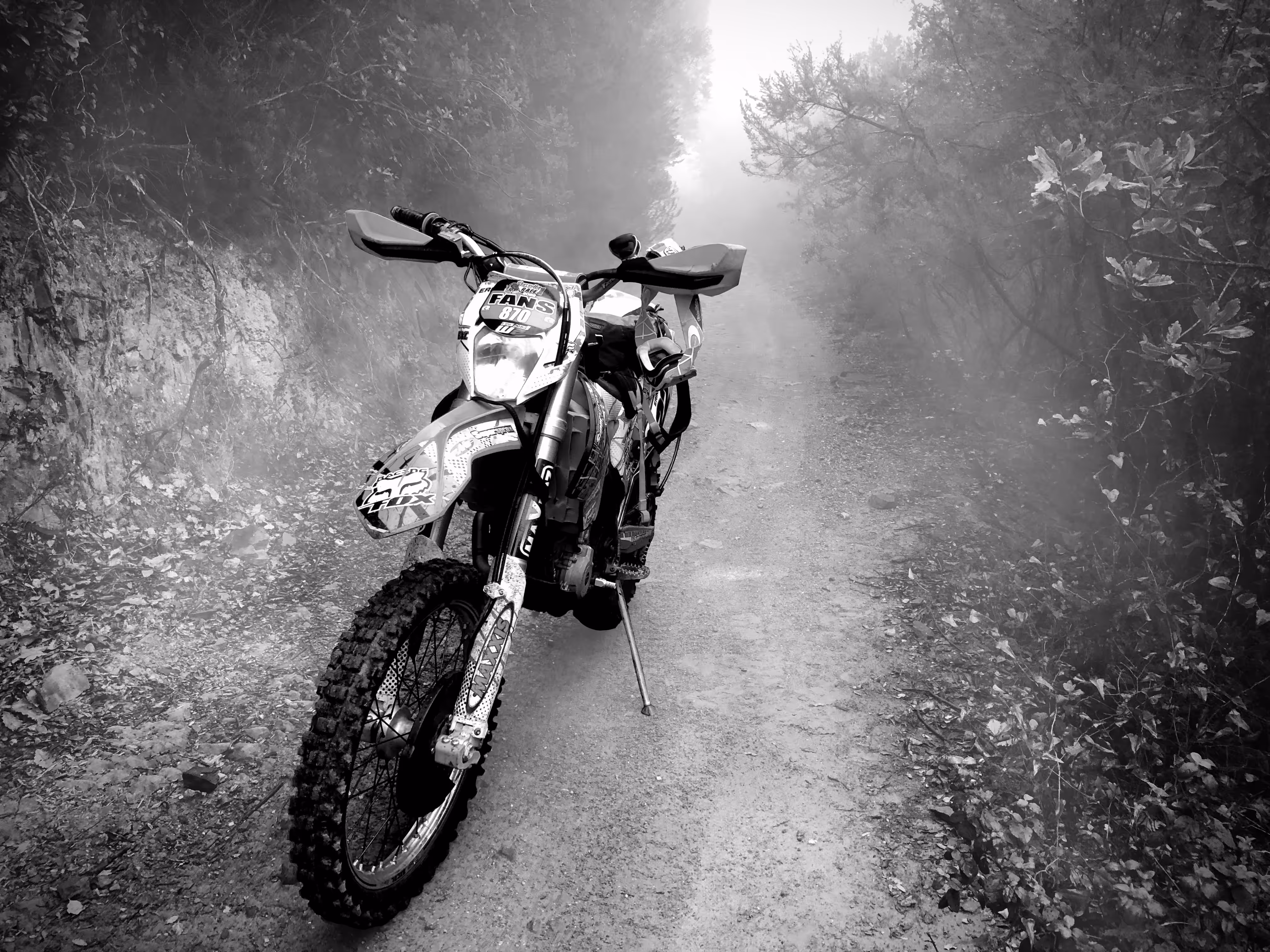 Foggy Ride