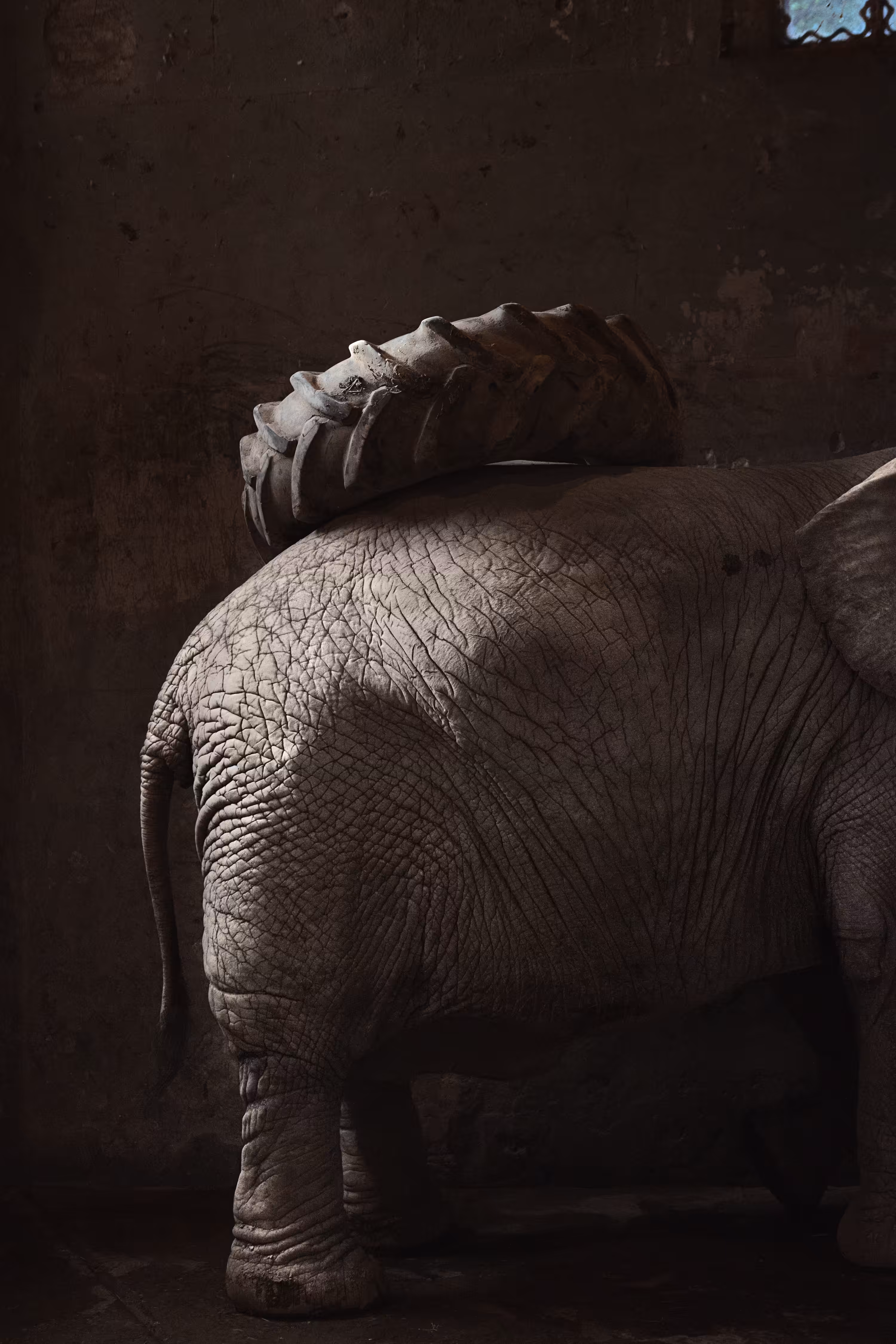 An Elephant Journey
