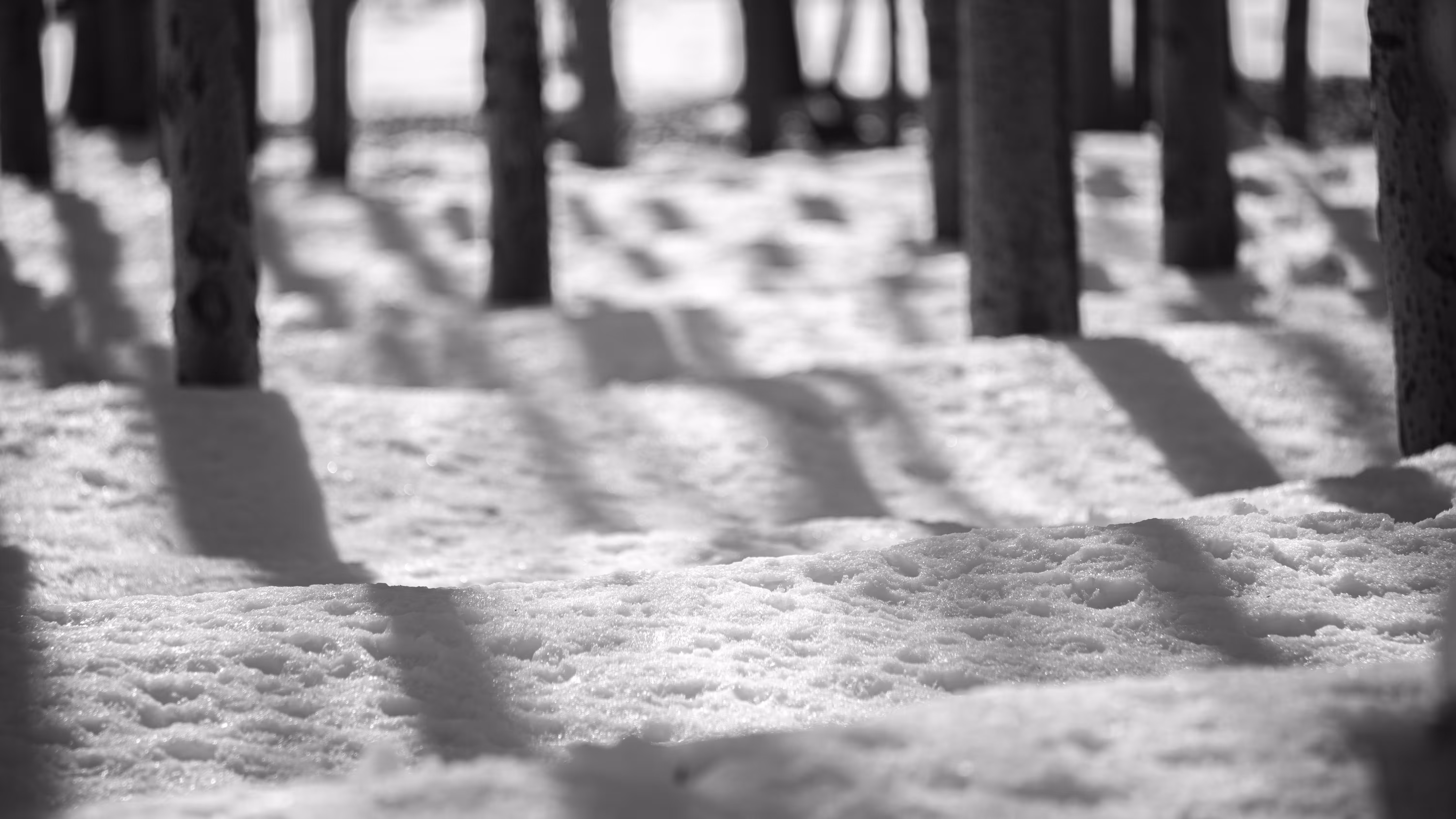 Shadows and footprints 