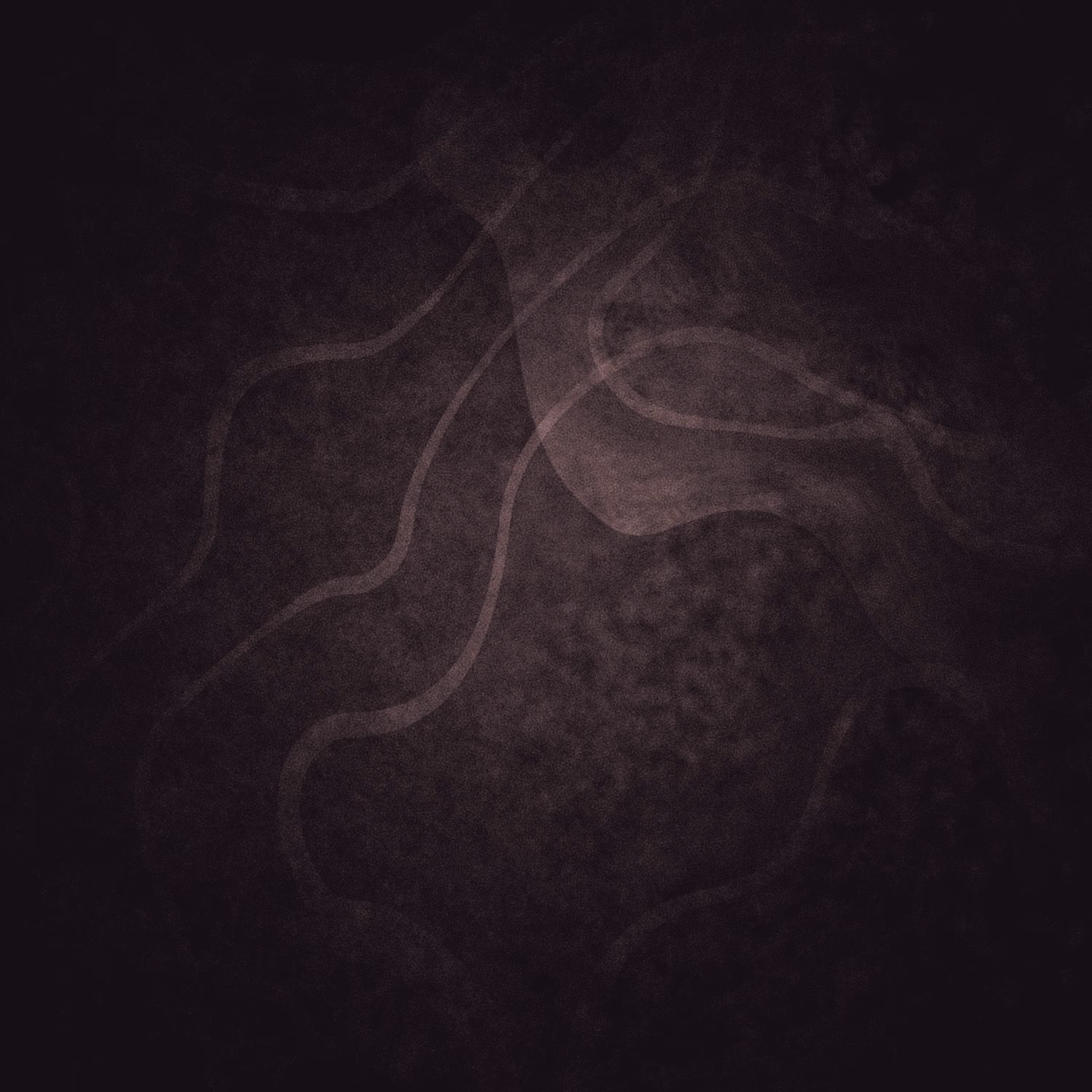Beyond Dichotomy  #44