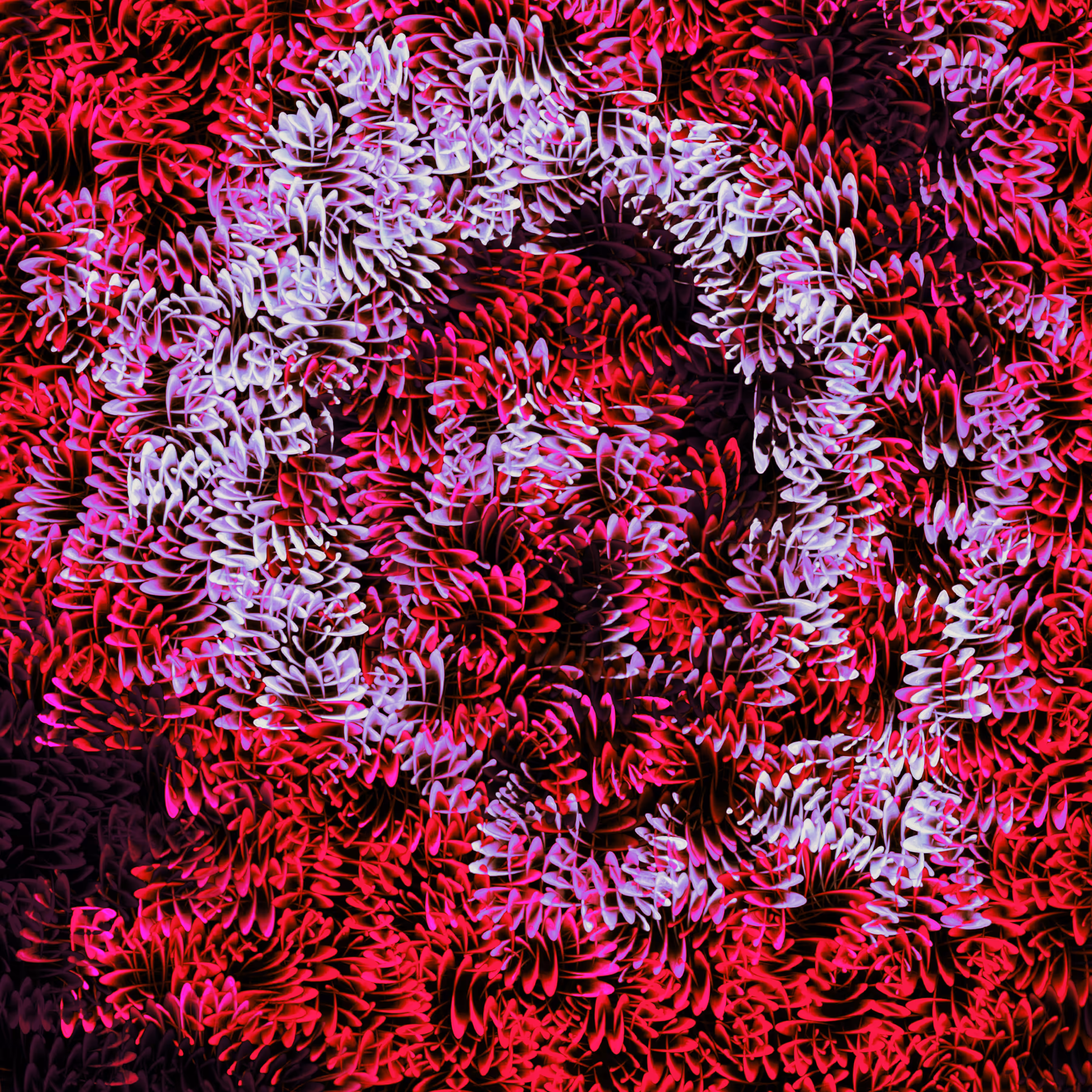 Generative Flowers I - Memories