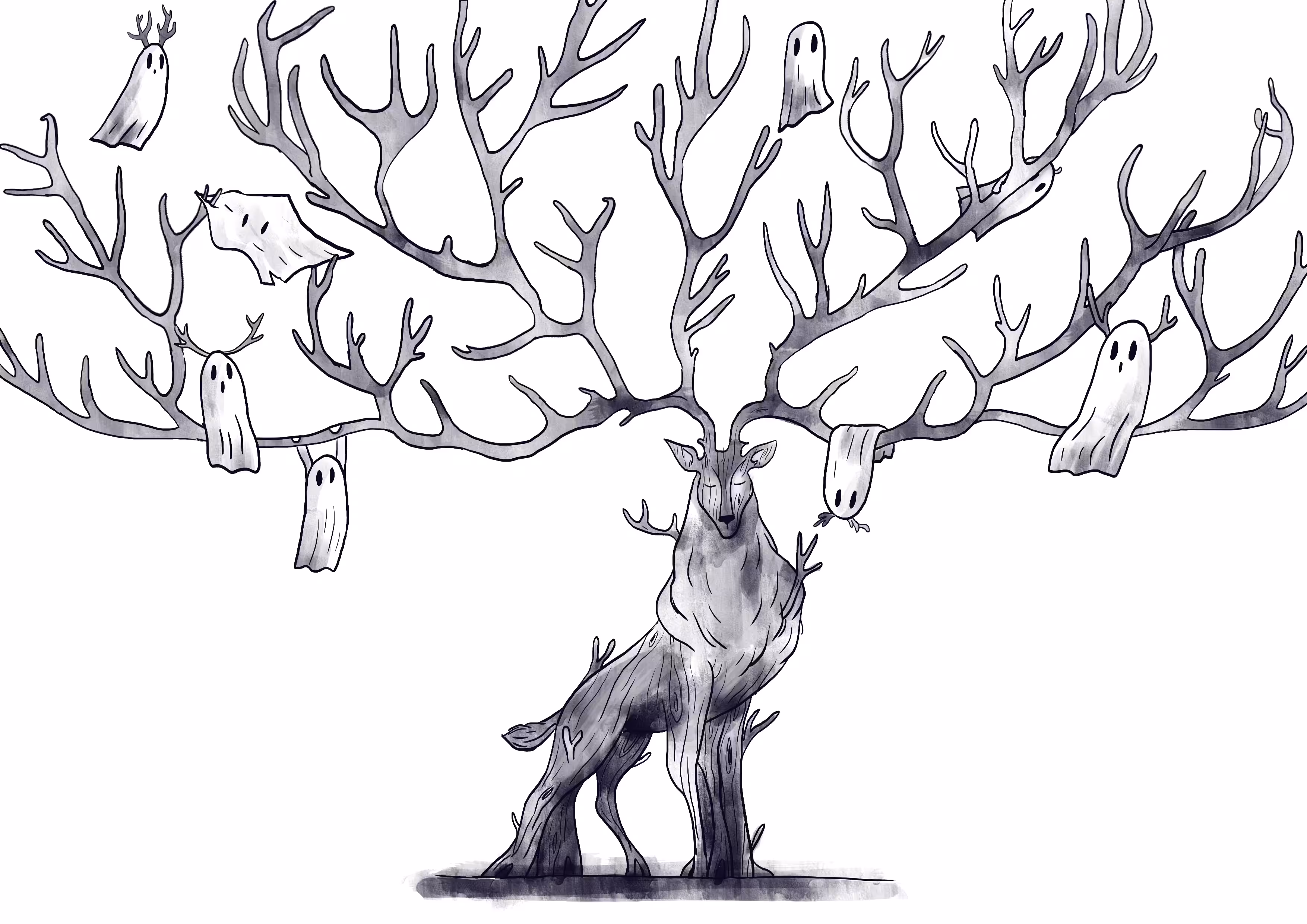 Deer