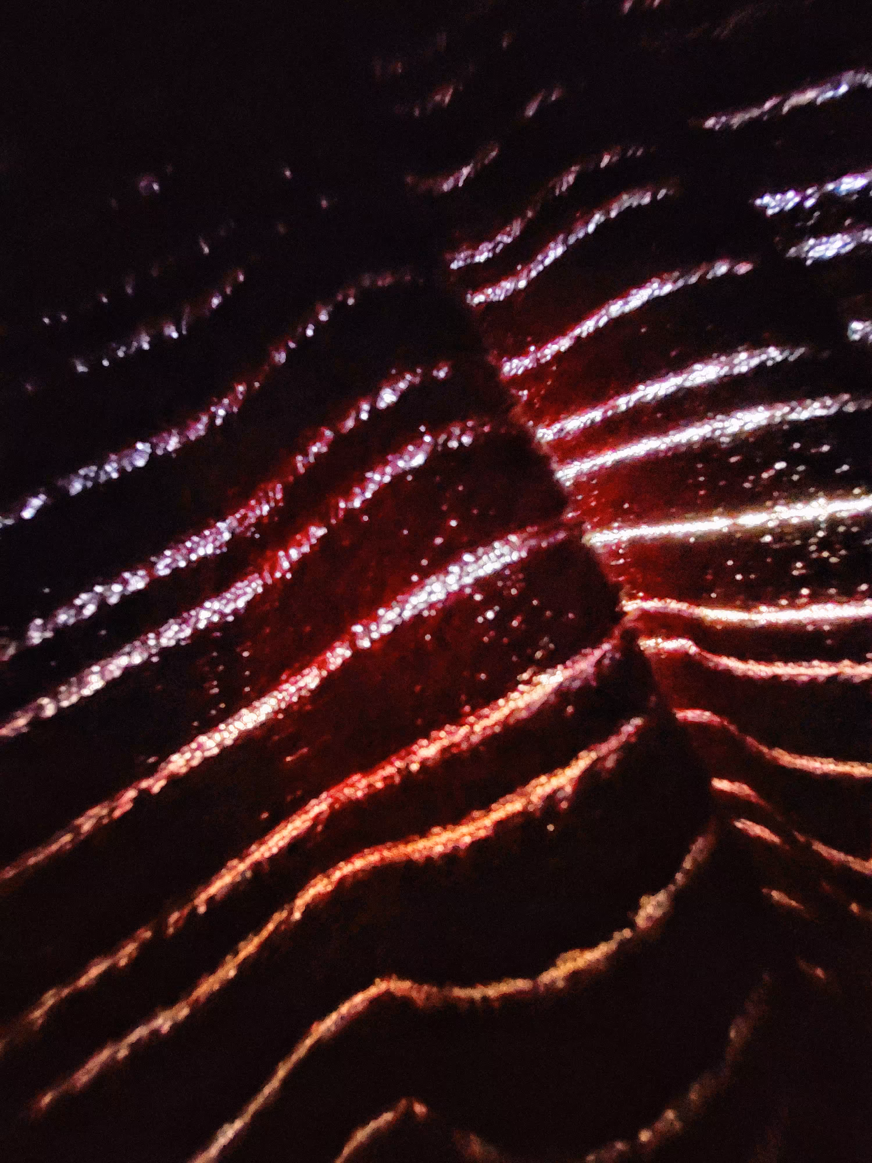 Veil