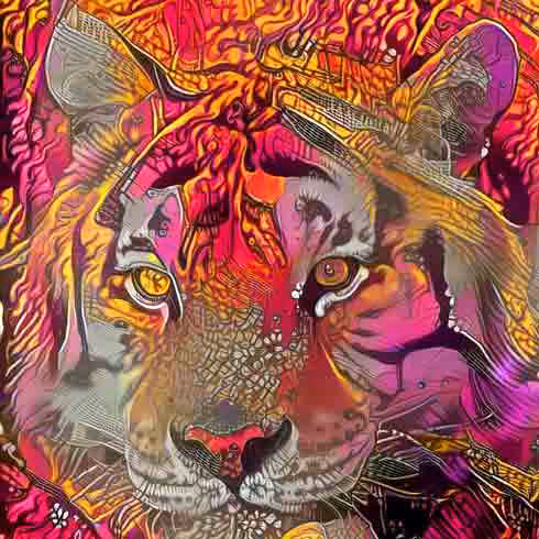 Big Cat Rescue Seth Tiger 