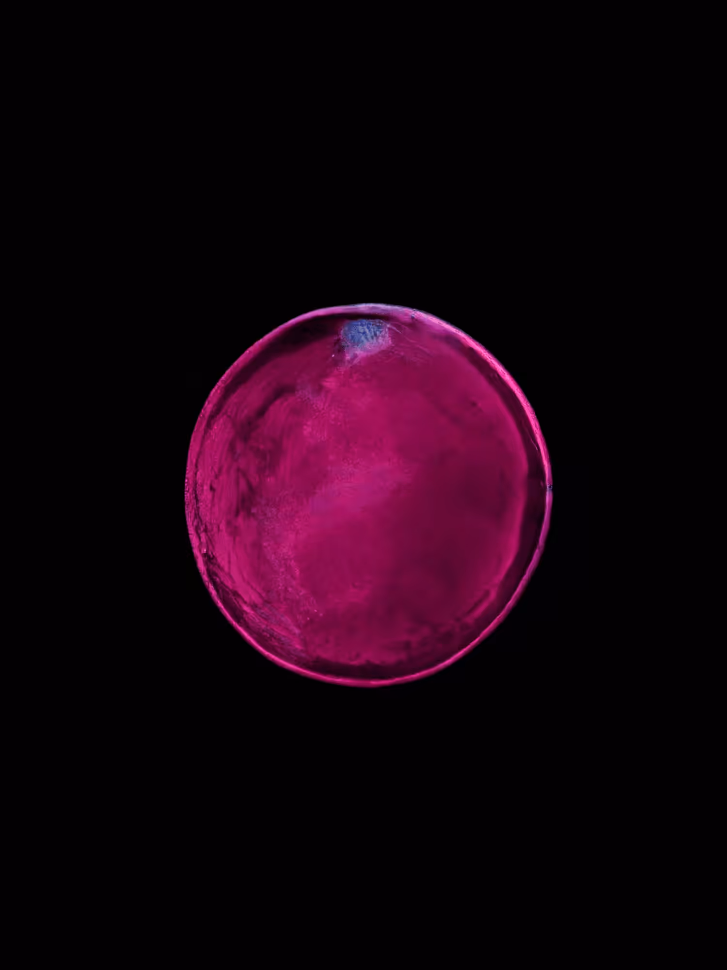 O2K